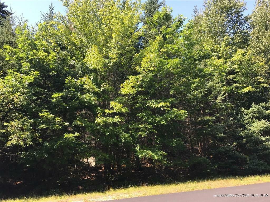 Property Photo: 128 Thundermist Road ME 04609