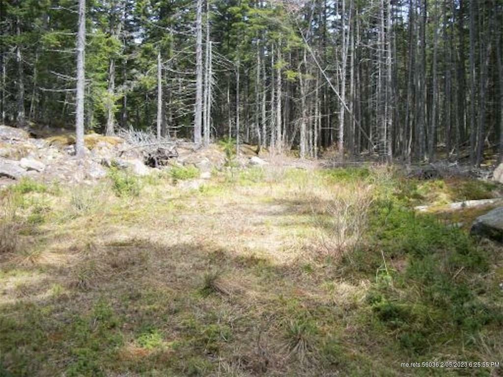 Property Photo:  0 (Lot 30) Forest Way  ME 04685 