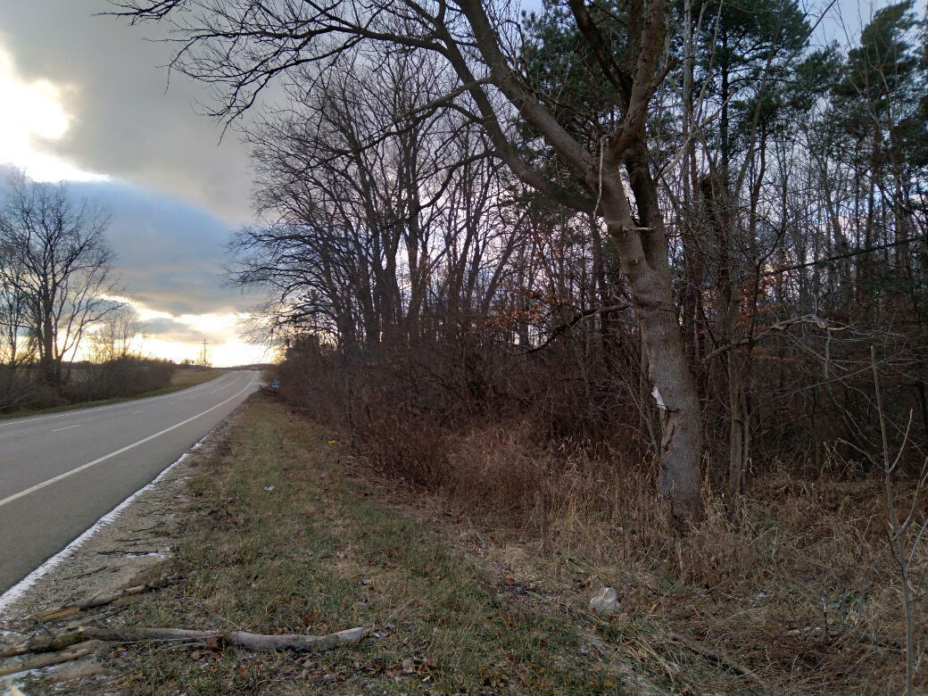 Property Photo:  Blue Star Highway  MI 49423 