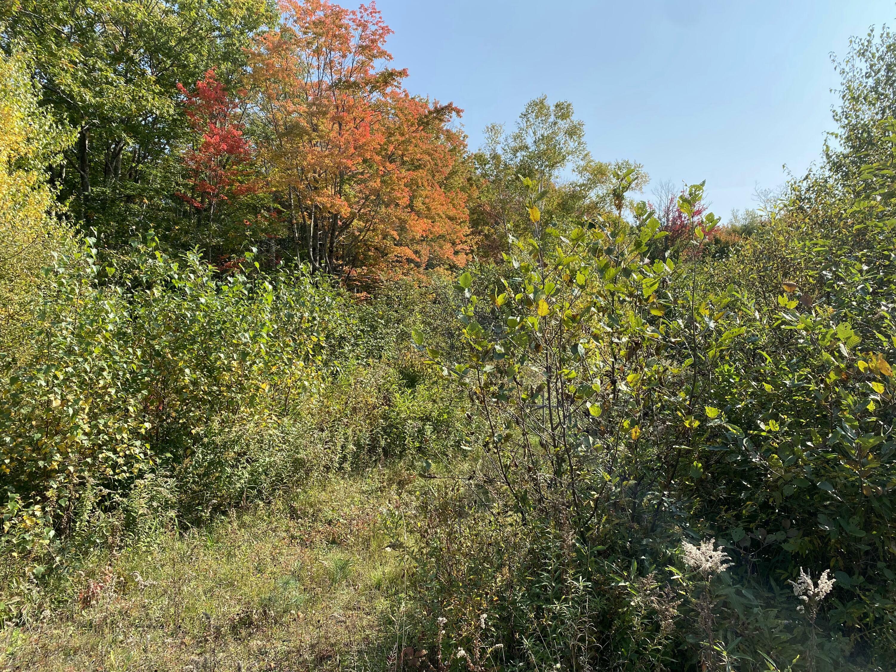 Property Photo:  78 Ridge School Road  ME 04949 