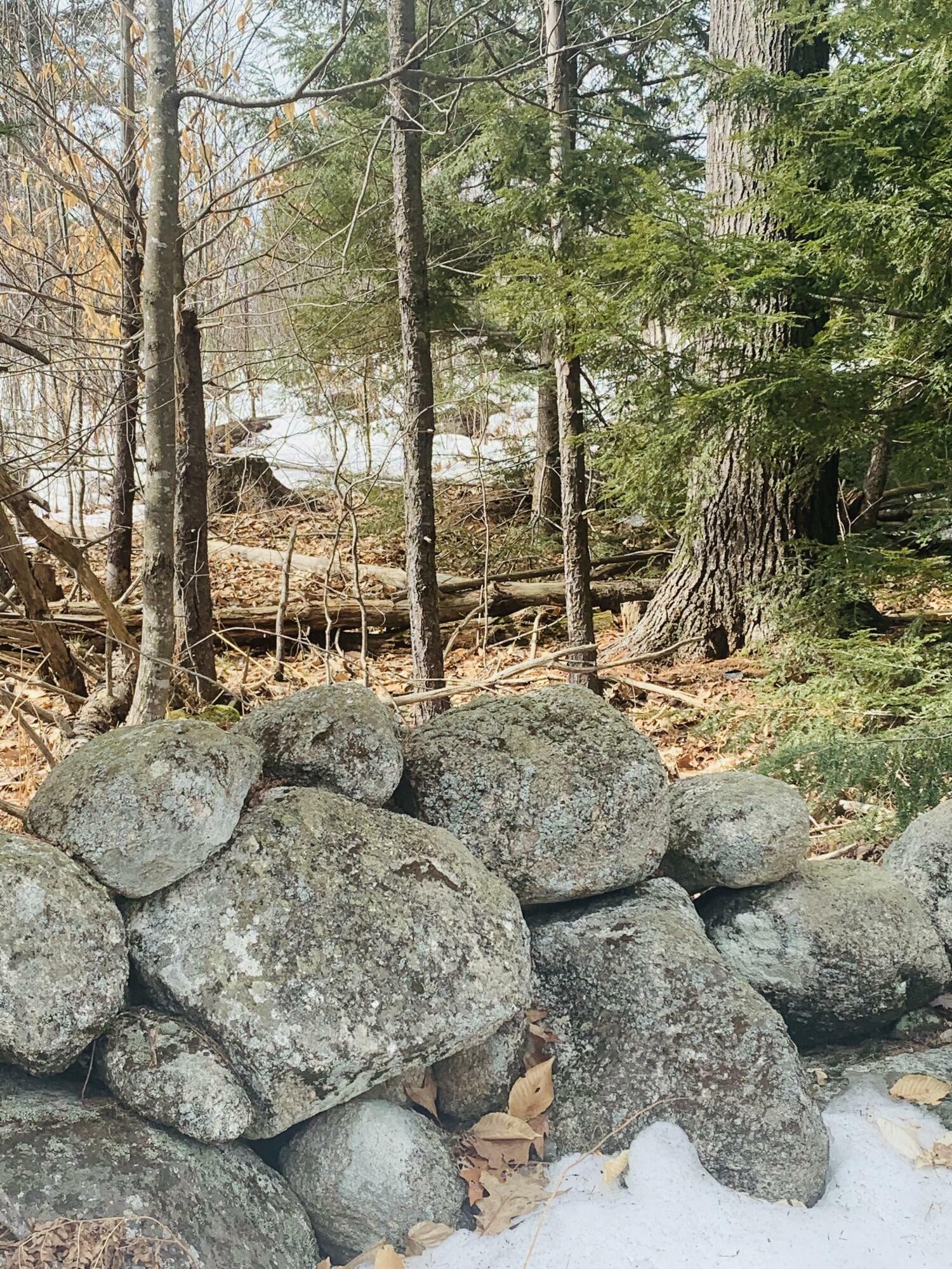 Property Photo:  Lot 2 Bell Hill Road Subdivision Llc Road  ME 04270 