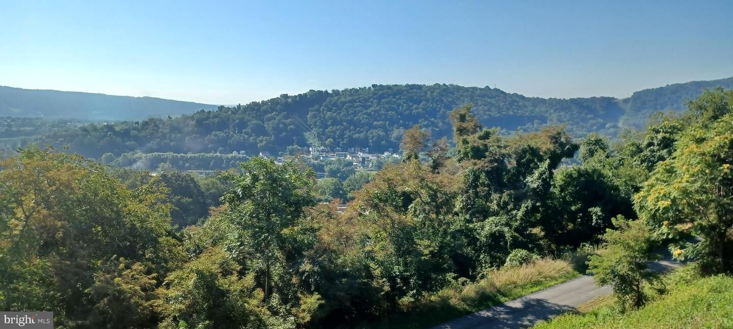 Property Photo:  714 Adams Ave  MD 21502 