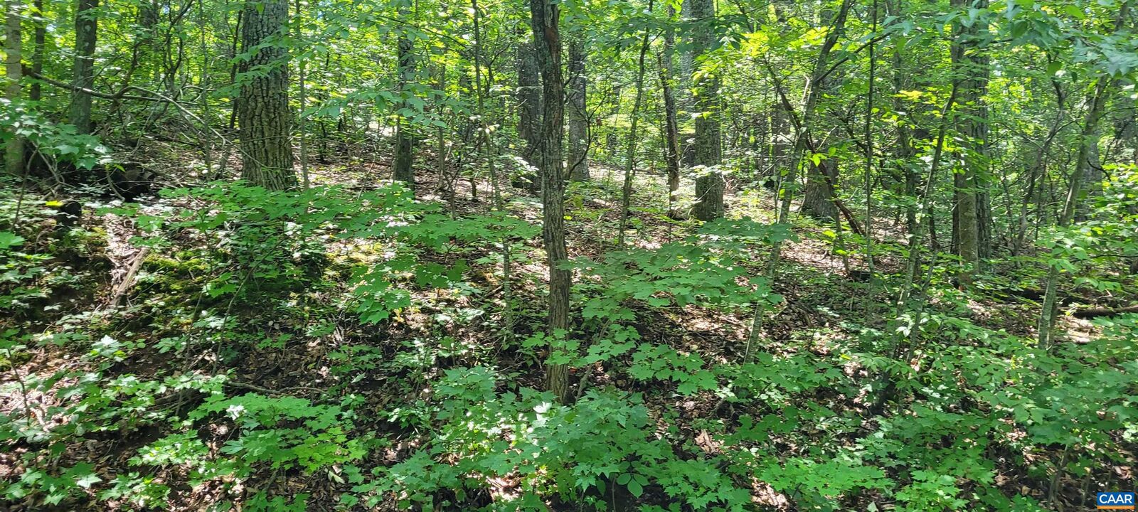 Property Photo: 0 Top Ridge Rd VA 22973