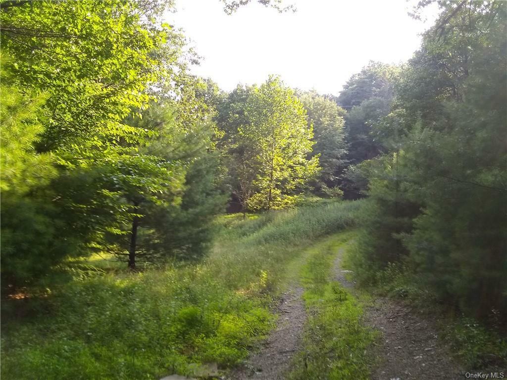 Property Photo:  1833 St US 209  NY 12790 