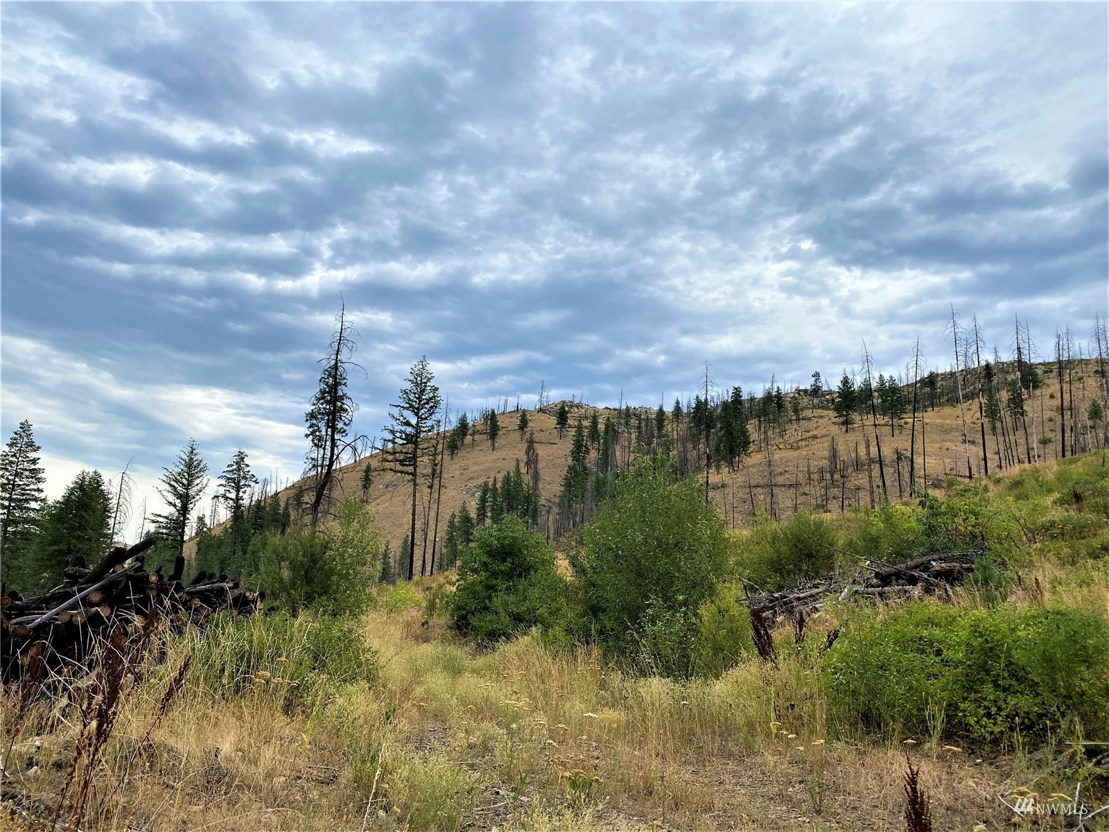 Property Photo:  7 Gold Creek Ranch Road  WA 98814 