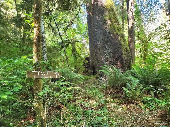 Property Photo:  9999 Lots 7&Amp8 Flemarski Road  WA 98331 