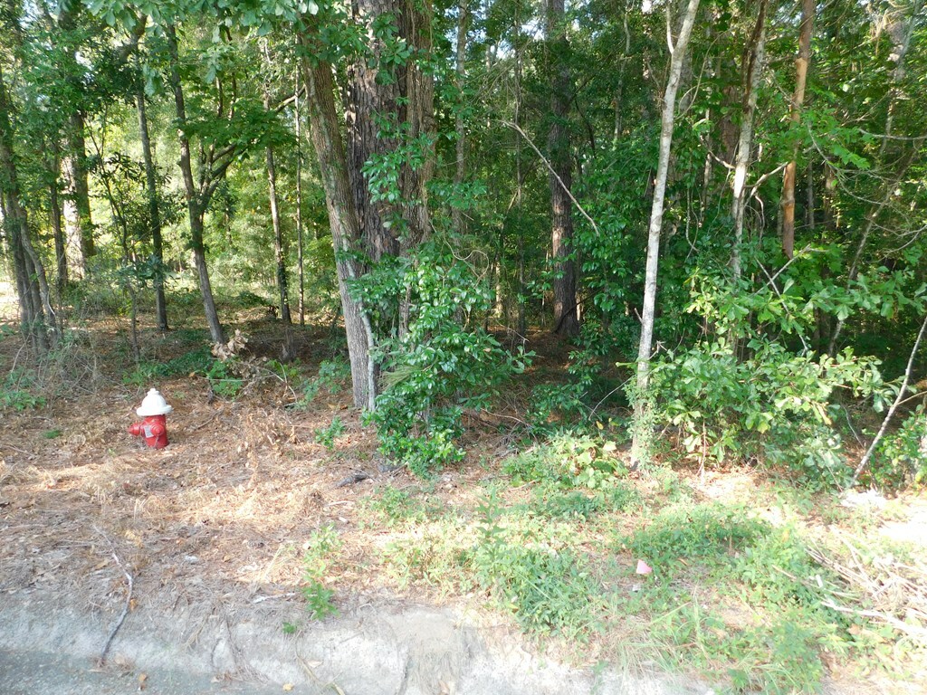 Property Photo:  0 Briar Cliff Rd Lot 5 Bk E  AL 36360 