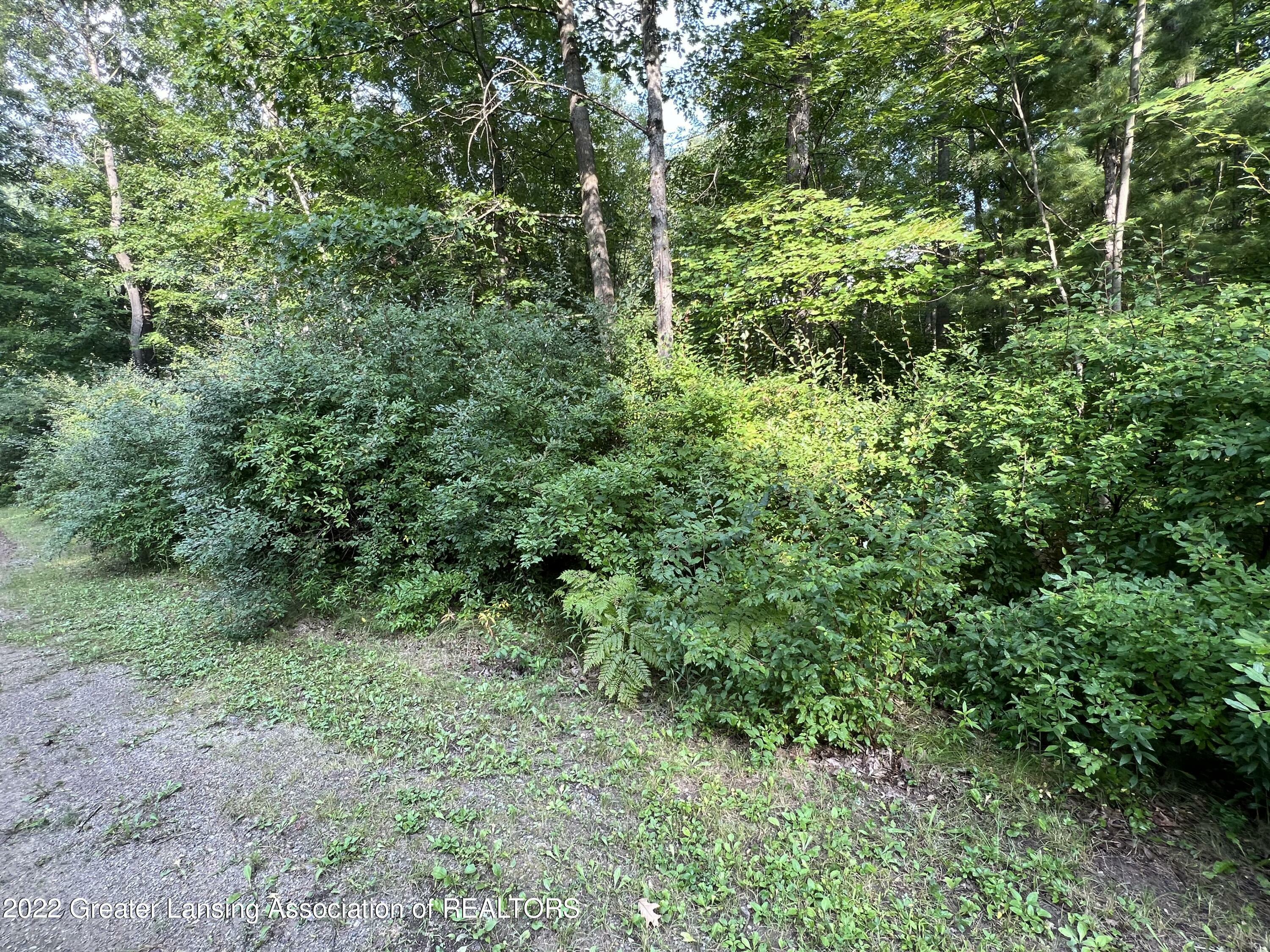 Property Photo: V/L Cold Creek Boulevard MI 48632