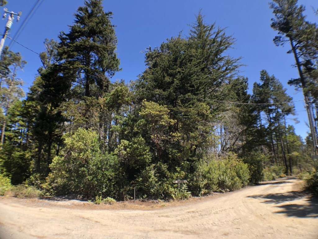 Property Photo: 43050 Little Lake Road CA 95460