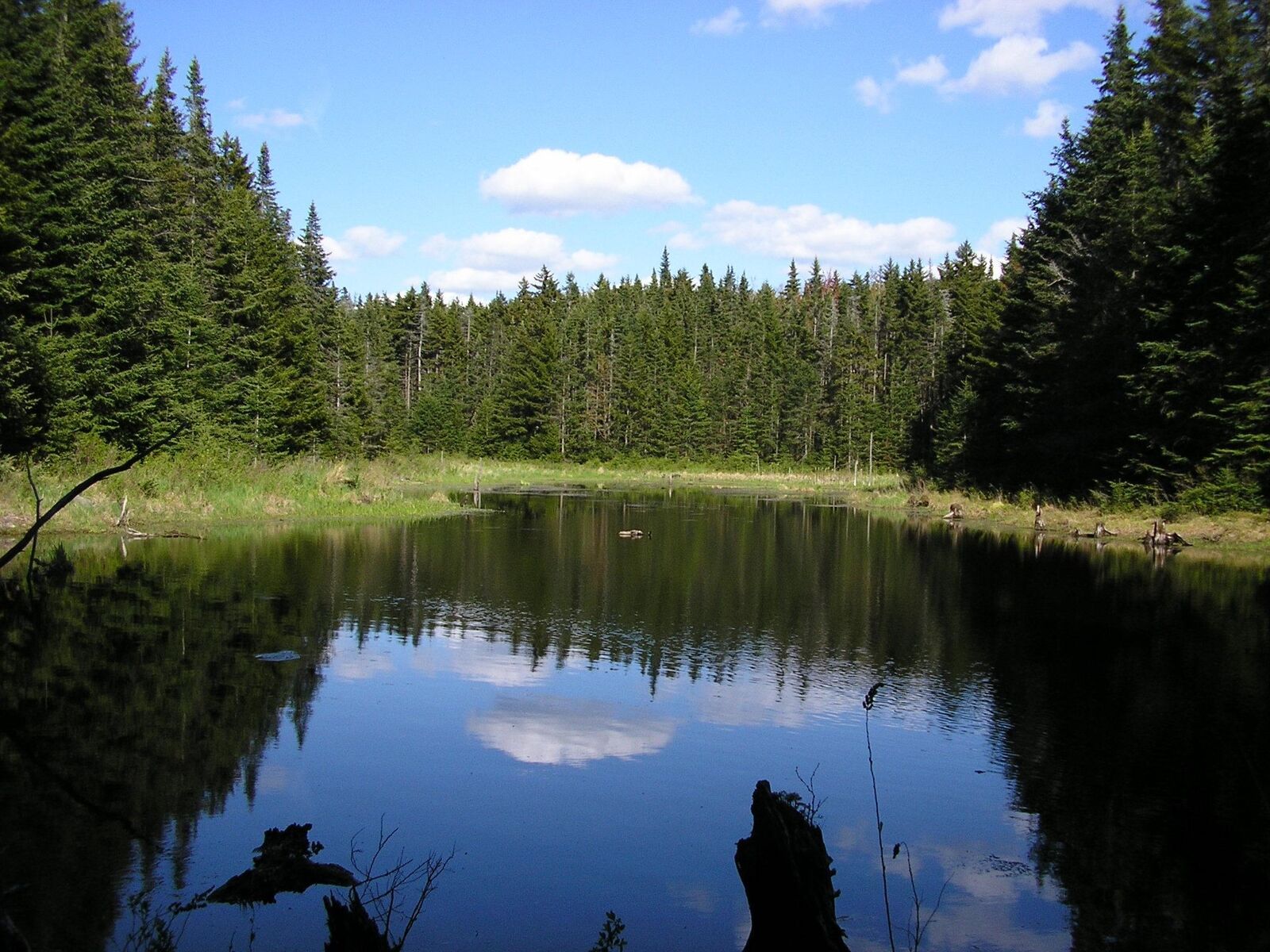 Property Photo:  Eastham Road  VT 05738 
