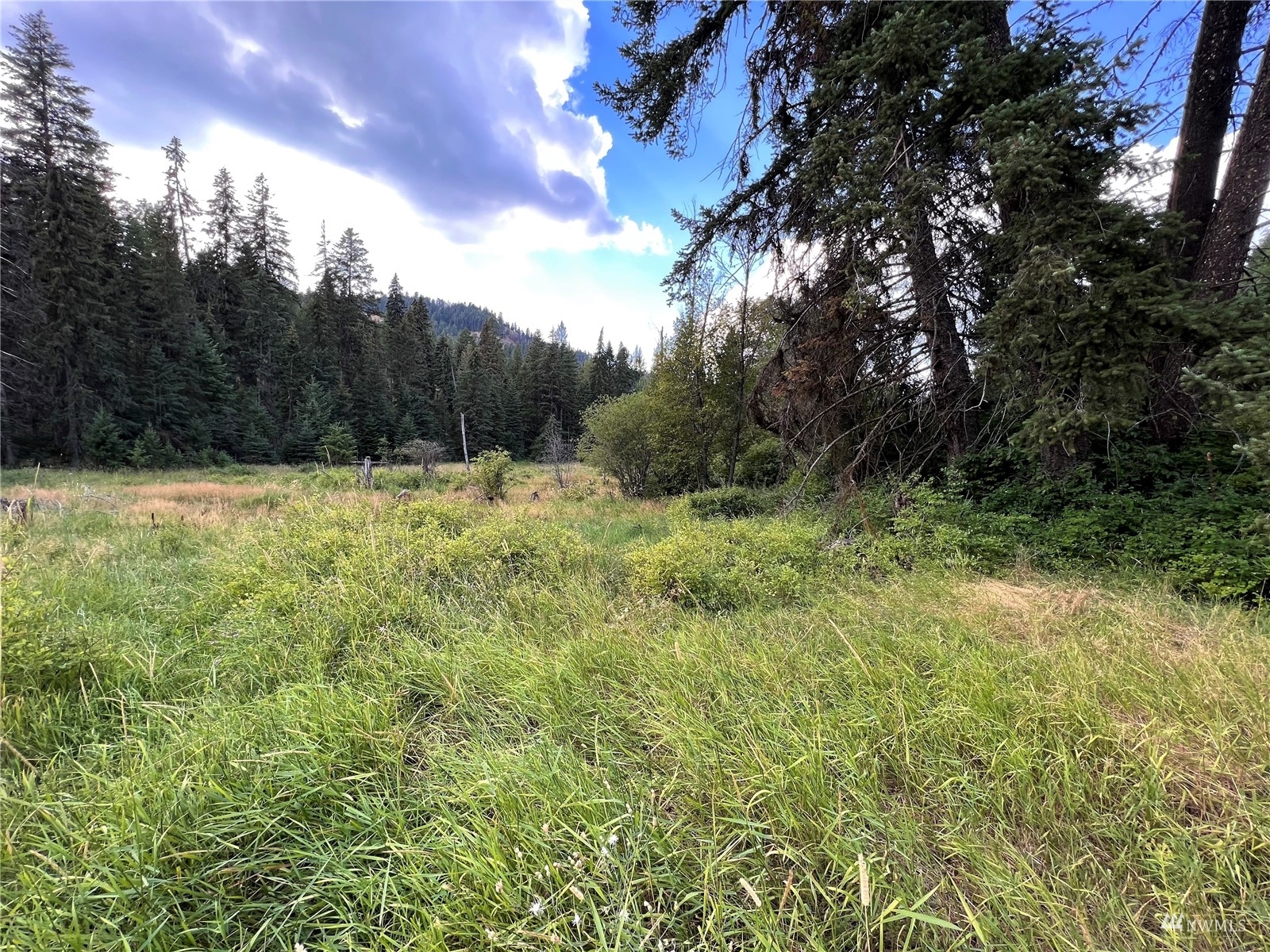 Property Photo:  0 Highway 20 E  WA 99166 