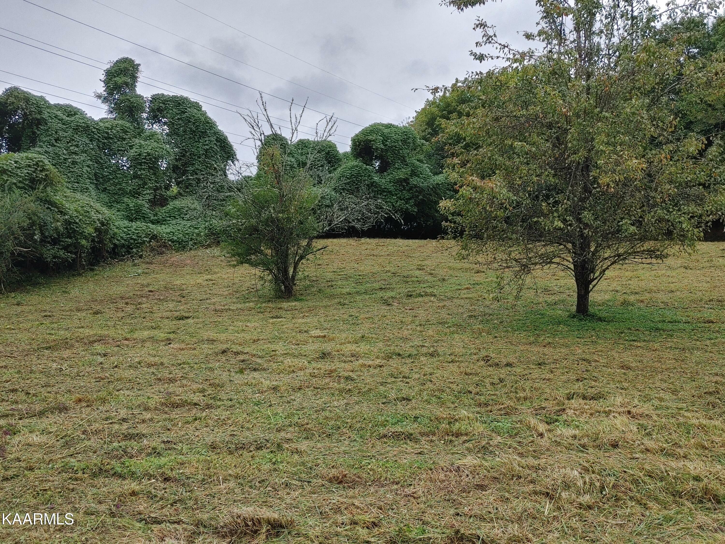 Property Photo:  104 Country Club Rd  TN 37854 