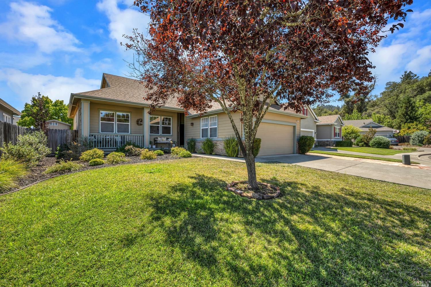 Property Photo:  463 Gamay Drive  CA 95425 