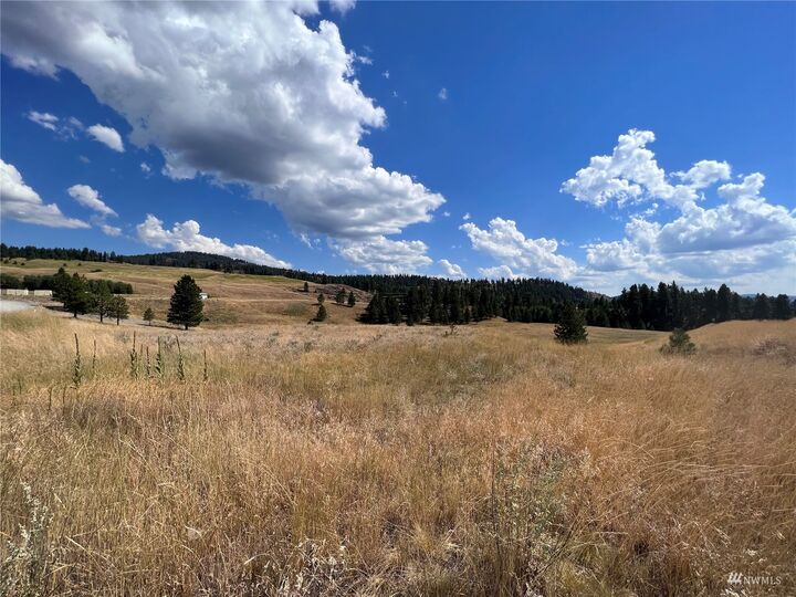 Property Photo:  0 Lot 27 Curlew Drive  WA 99166 