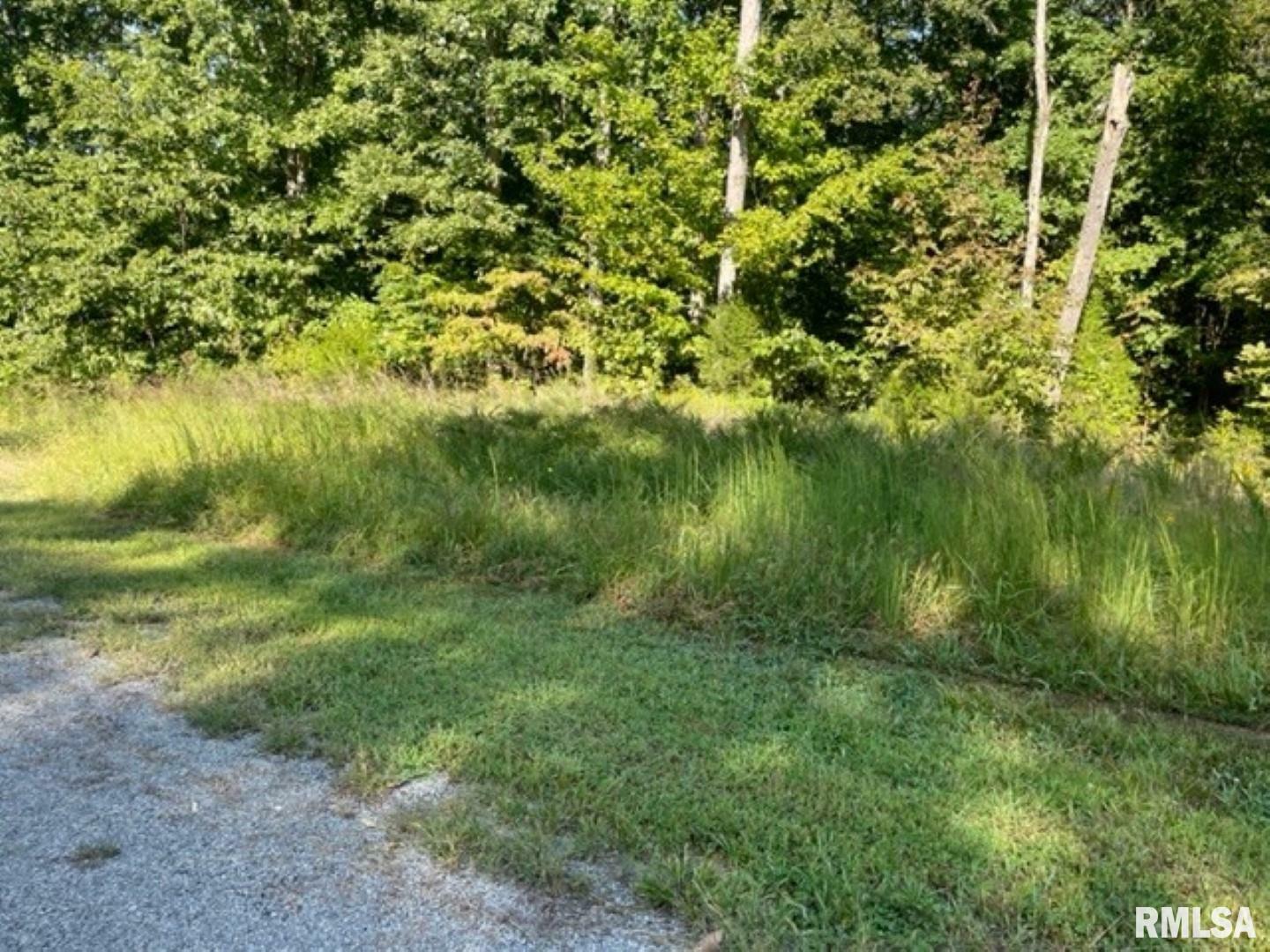Property Photo: Lot 48 &Amp 49 Chariot Court IL 62939