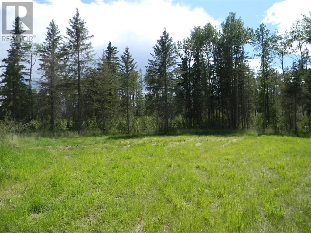 Property Photo:  115 Meadow Ponds Drive  AB T4T 1A7 