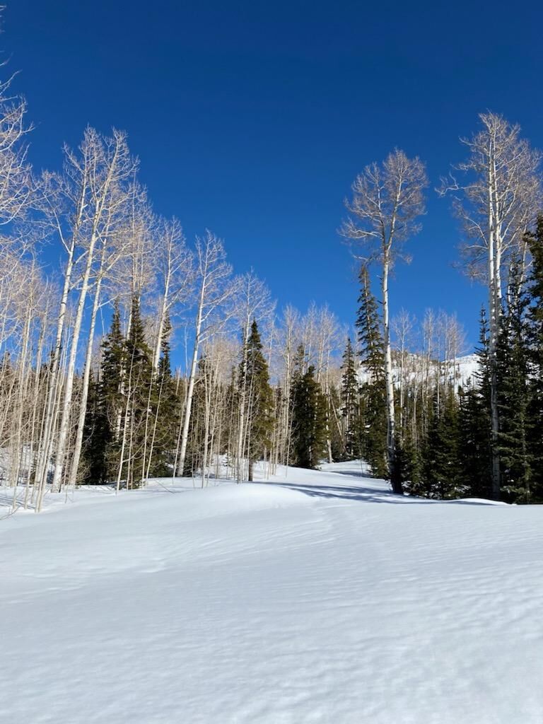 Property Photo:  333 E Toboggan Cir Lot 17 Blk D Ski Haven Chalets  UT 84719 