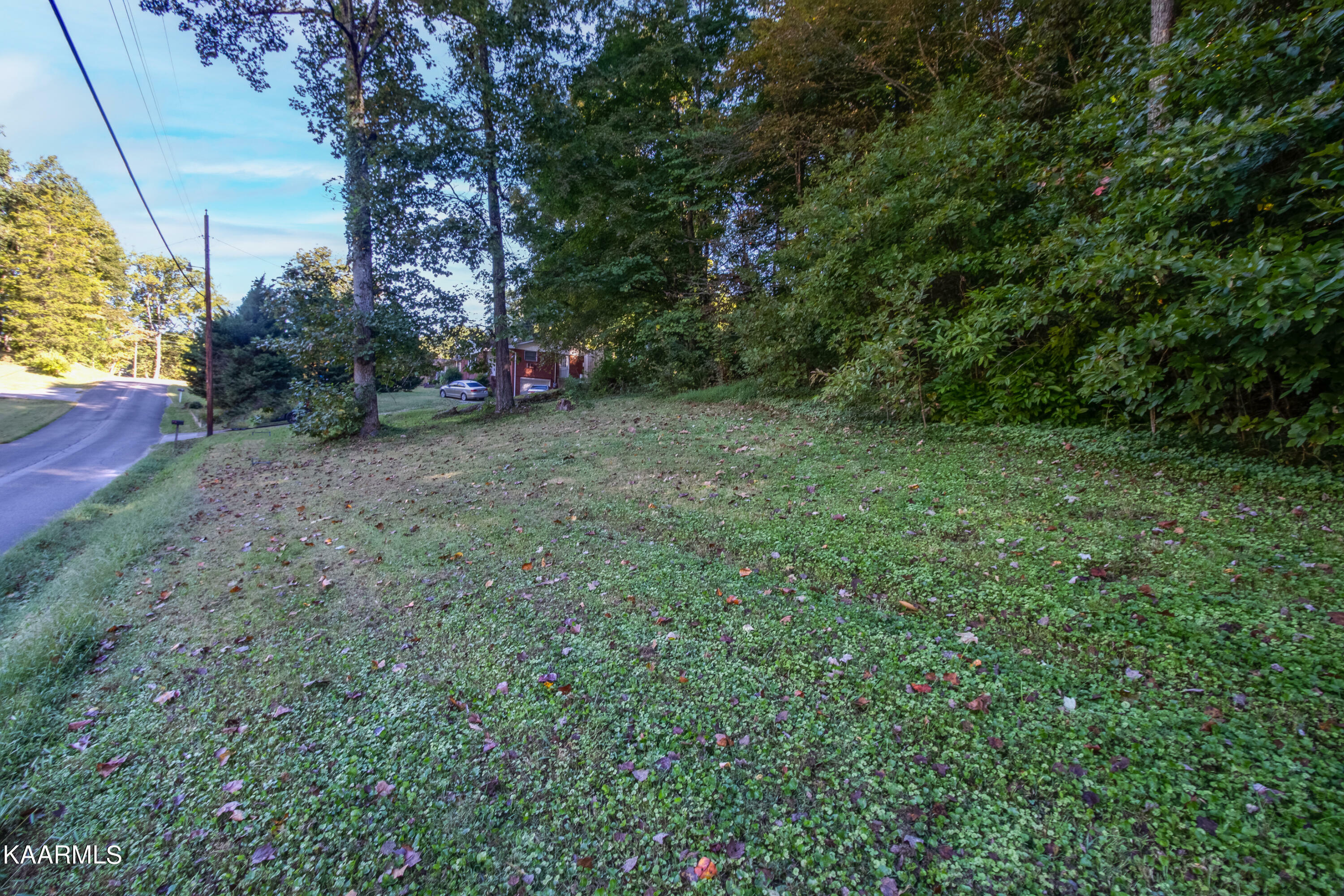 Property Photo:  Dogwood North Rd  TN 37849 