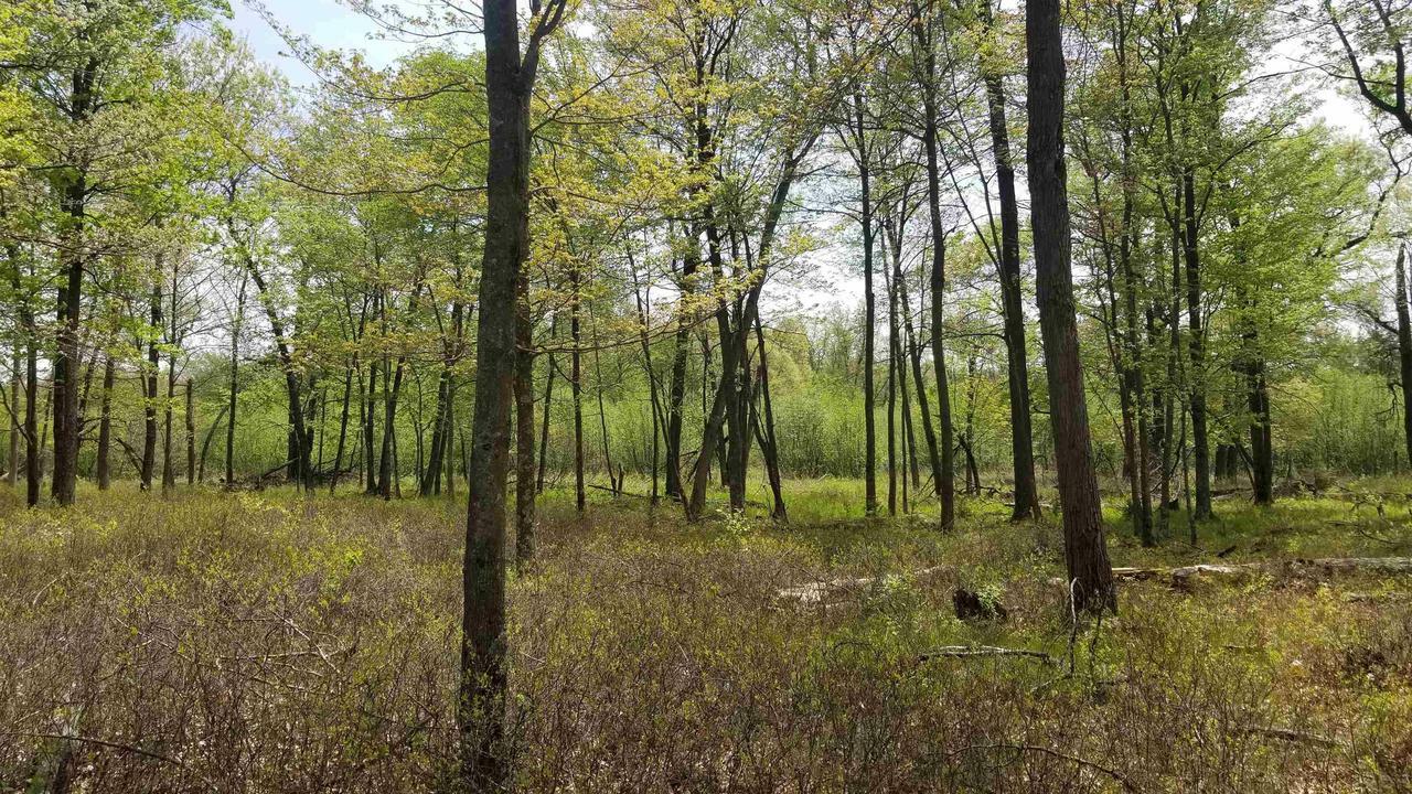 Property Photo:  40.73 Ac Cottonville Ln  WI 54930 