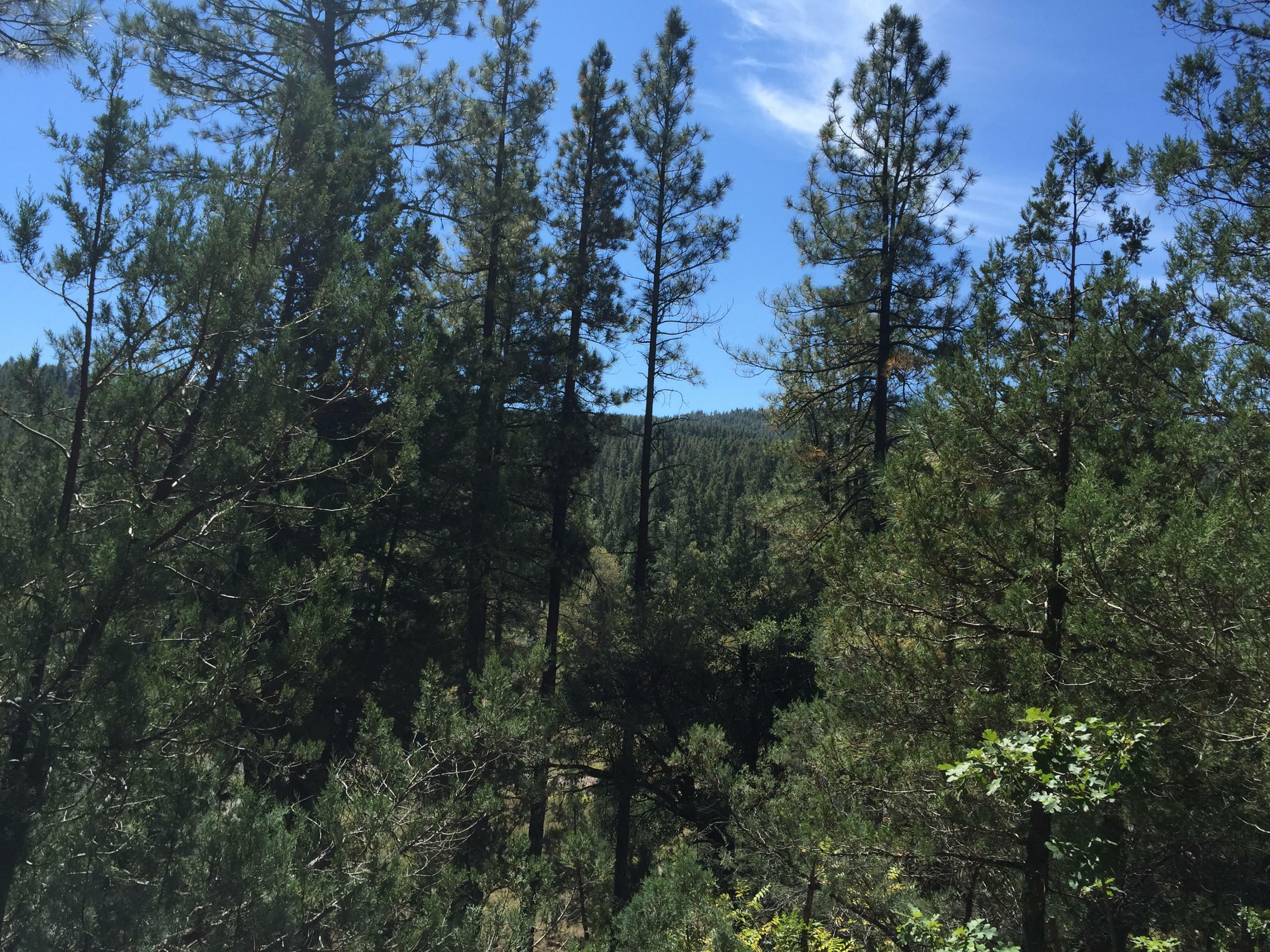 Lot 130 Hunter Creek Drive  Payson AZ 85541 photo