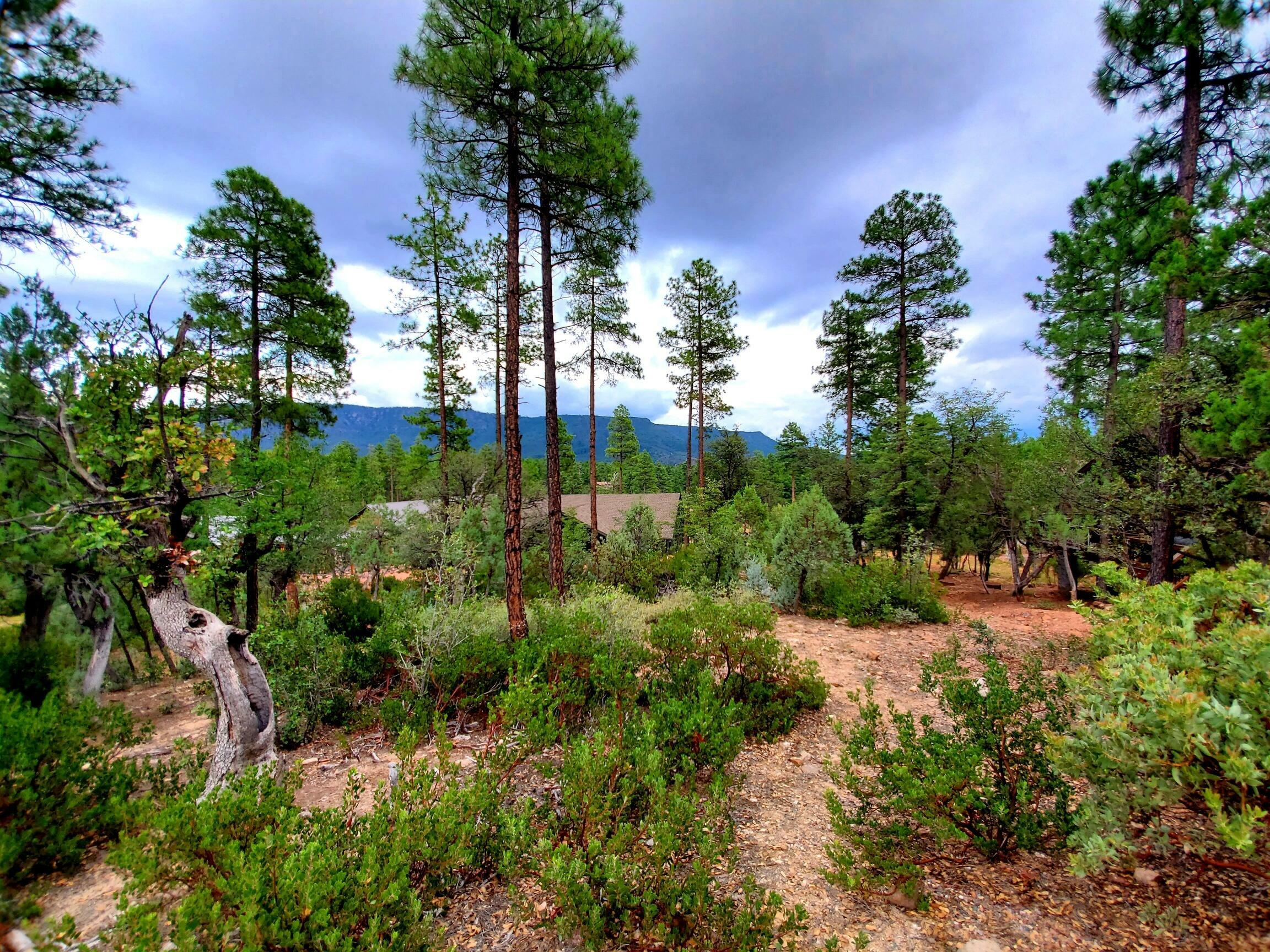 64 Forest Trail Court  Pine AZ 85544 photo