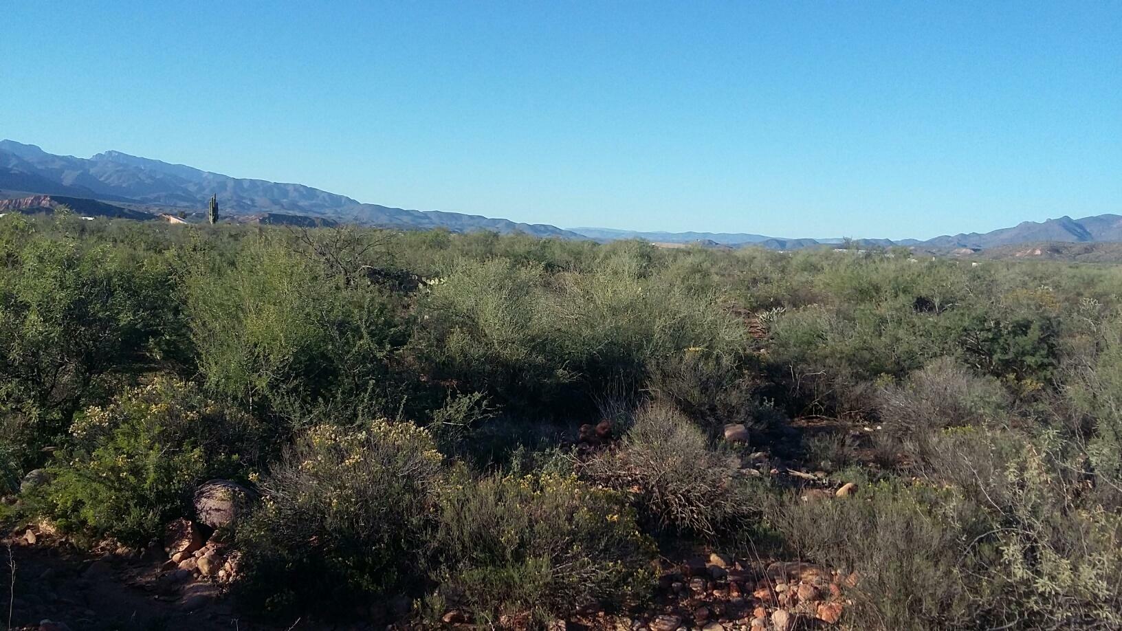 Property Photo:  Parcel 3 Ewing Trail  AZ 85553 