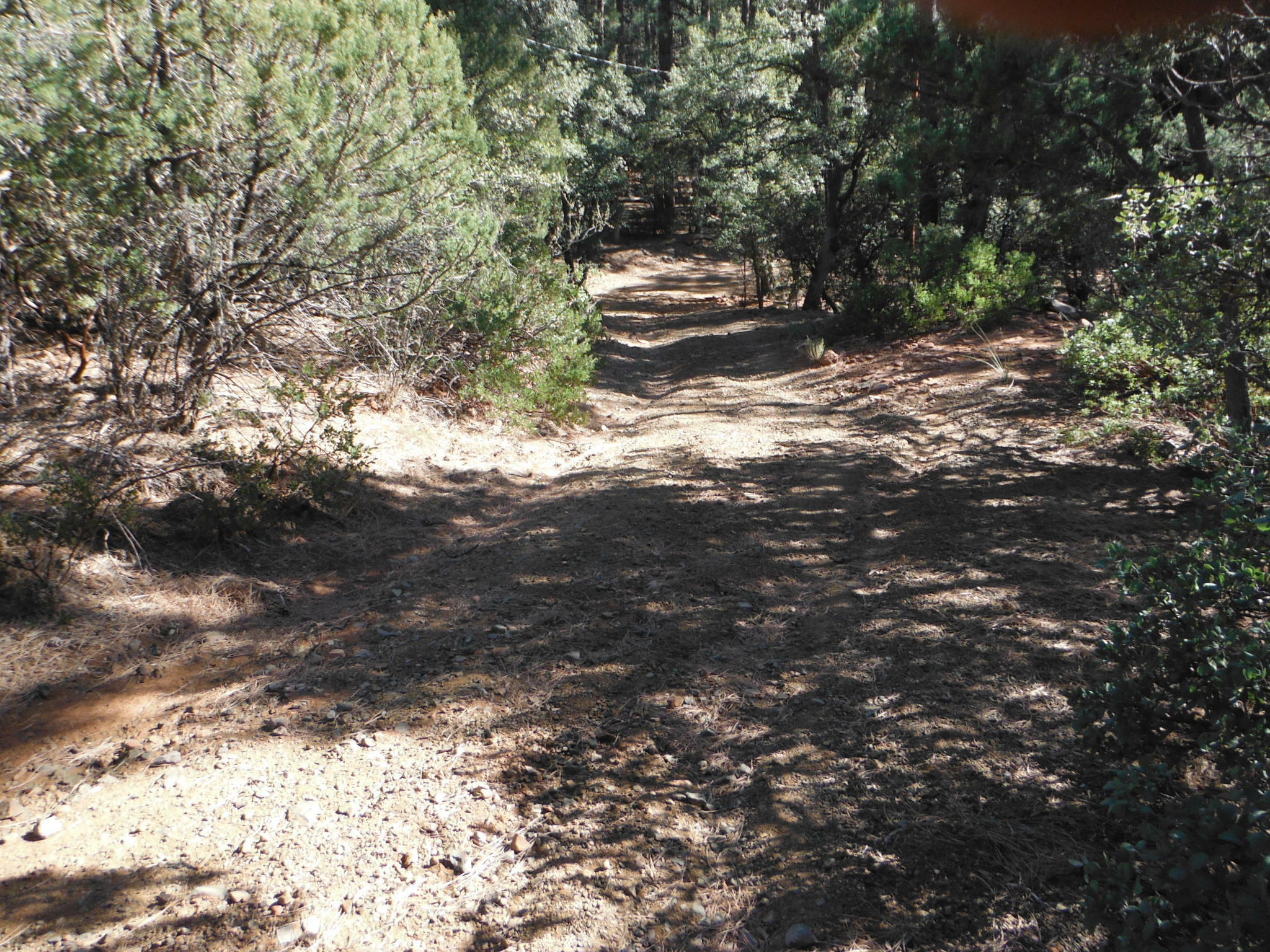 Property Photo:  5479 W Pinon Drive  AZ 85544 