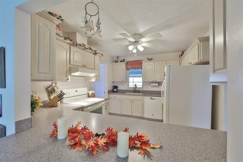 Property Photo: 1603 Cloister Drive FL 33573
