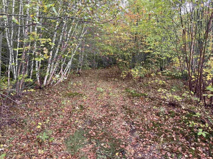 Property Photo:  0 Lamoille Avenue  VT 05843 