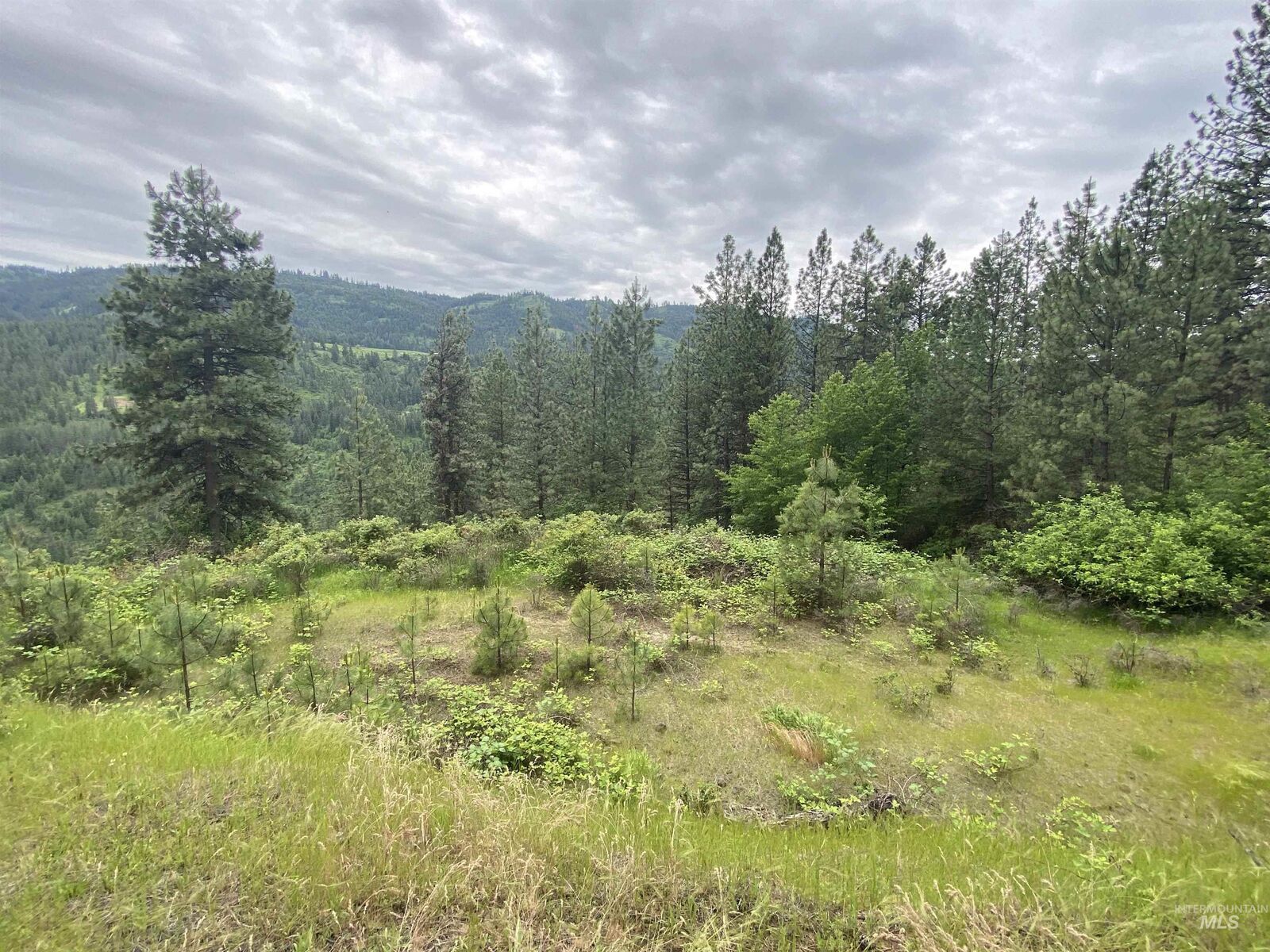 Property Photo:  Tbd Cavendish Highway  ID 83541 