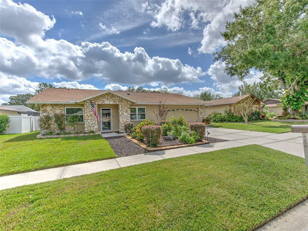 Property Photo:  4206 Hollowtrail Drive  FL 33624 