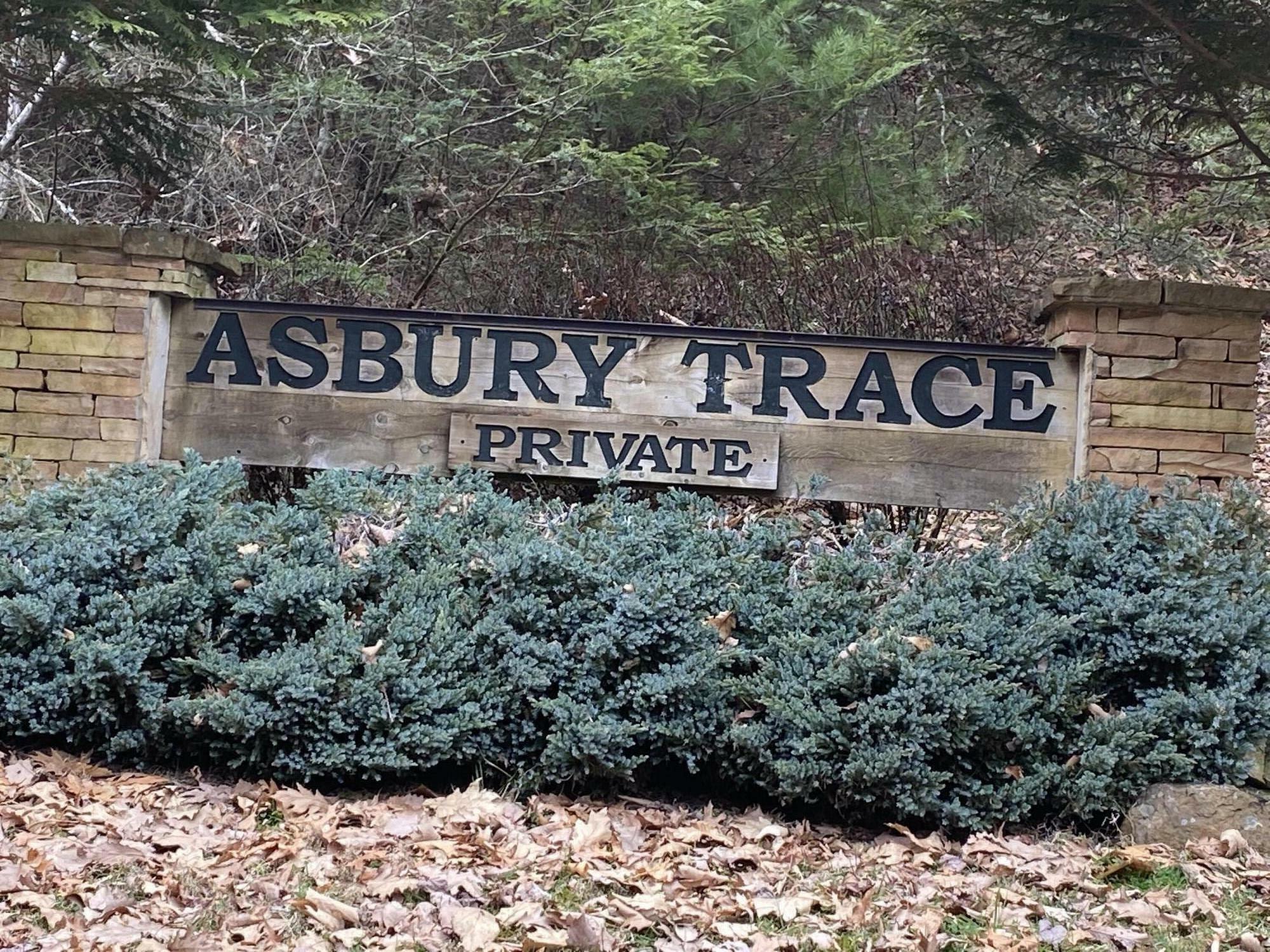 Property Photo:  Lot 13 Asbury Trace  WV 24901 