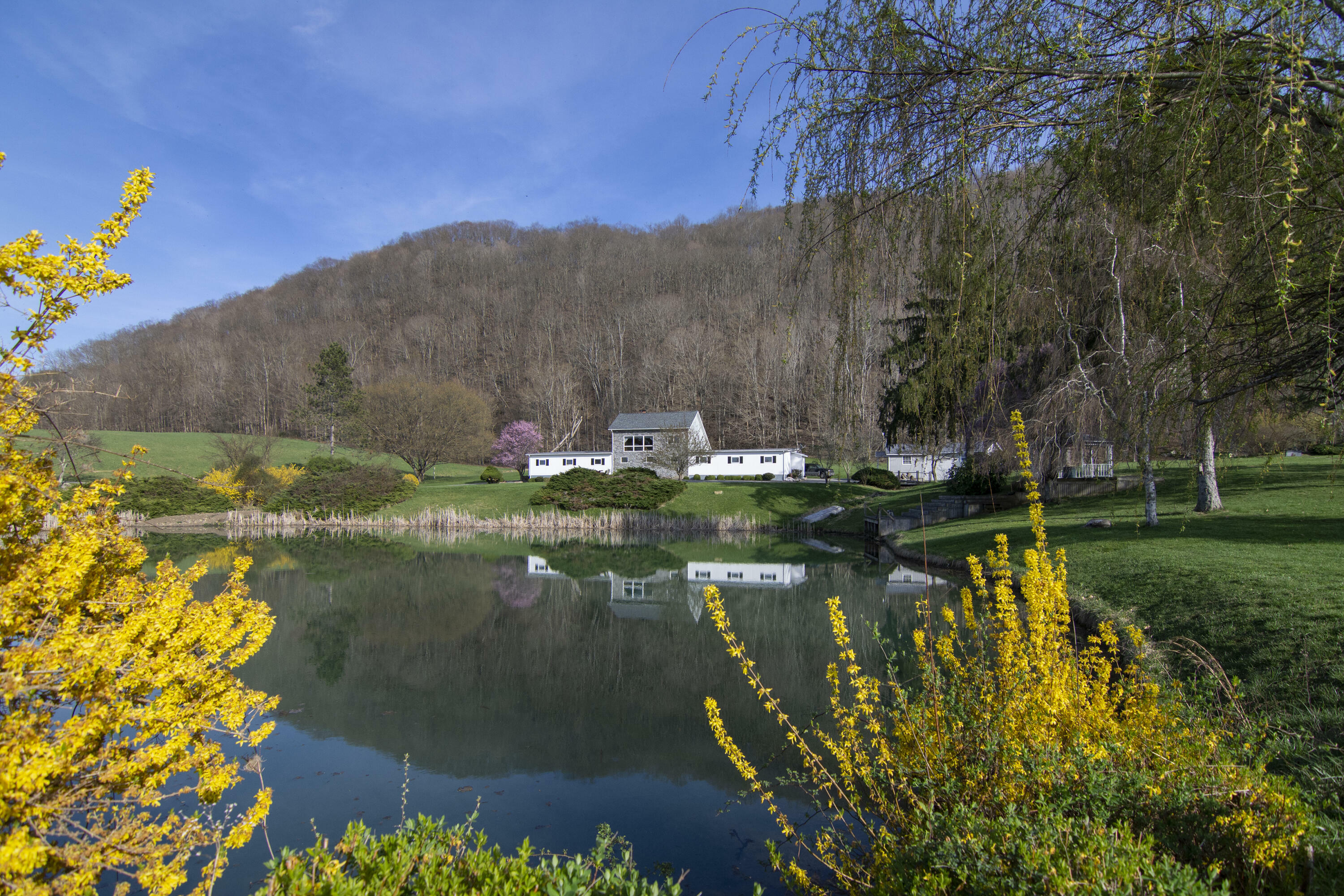 Property Photo:  996 Tom Feamster Rd  WV 24910 