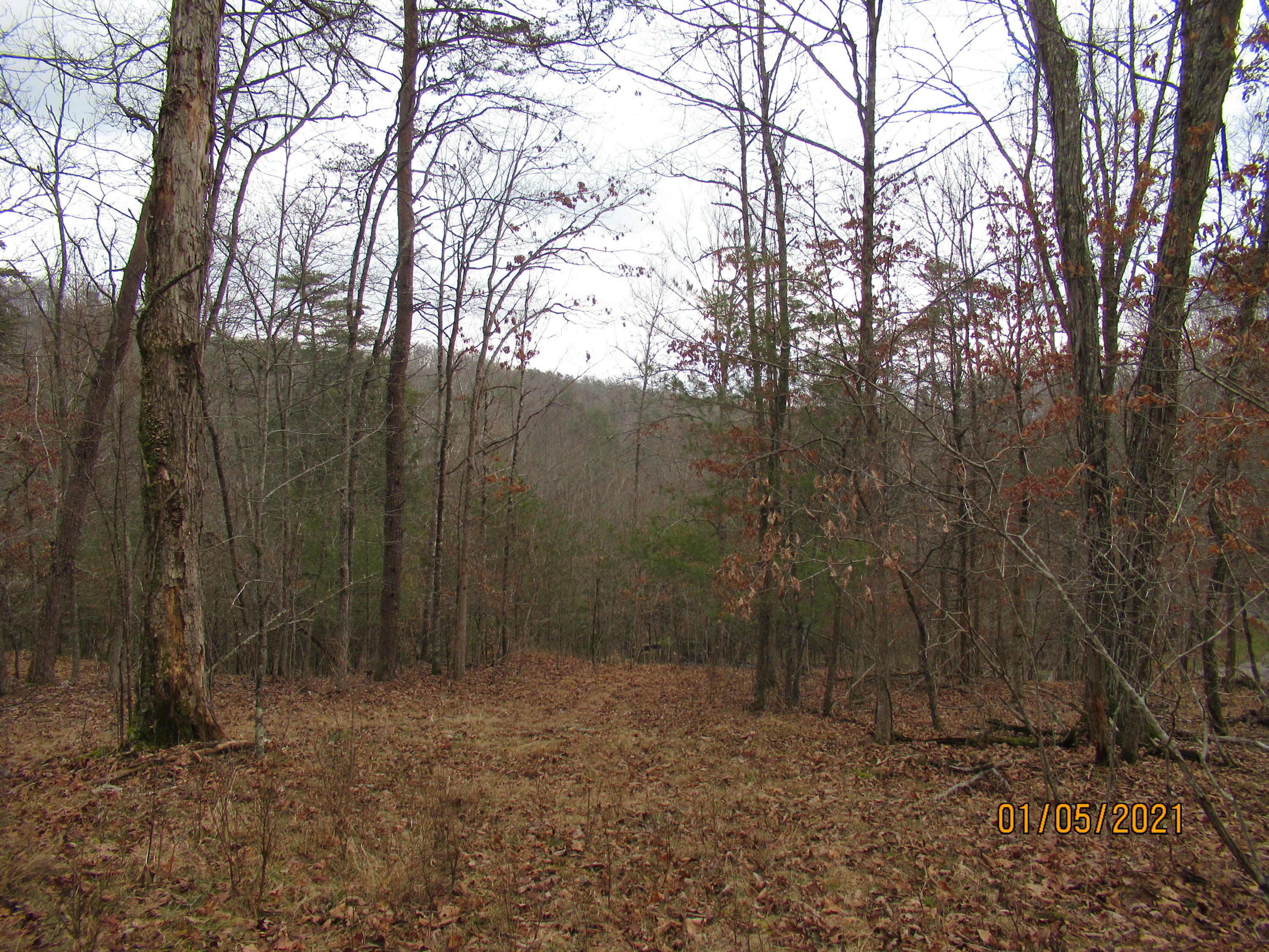 Property Photo: Stonehenge WV 24901