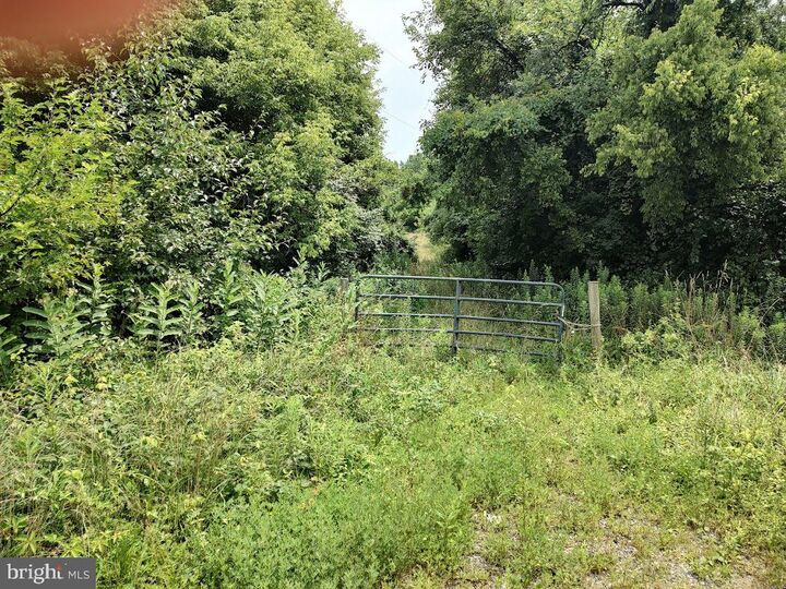 Property Photo: E Pulaski Highway MD 21921