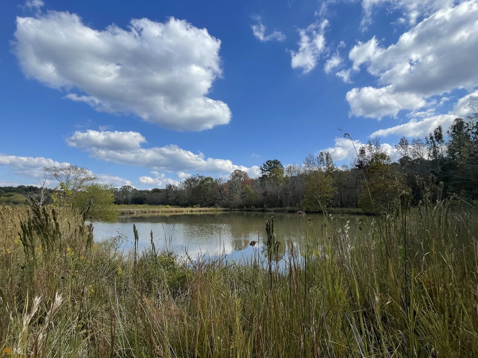 Property Photo:  35 Acres Taylortown Road  GA 30734 