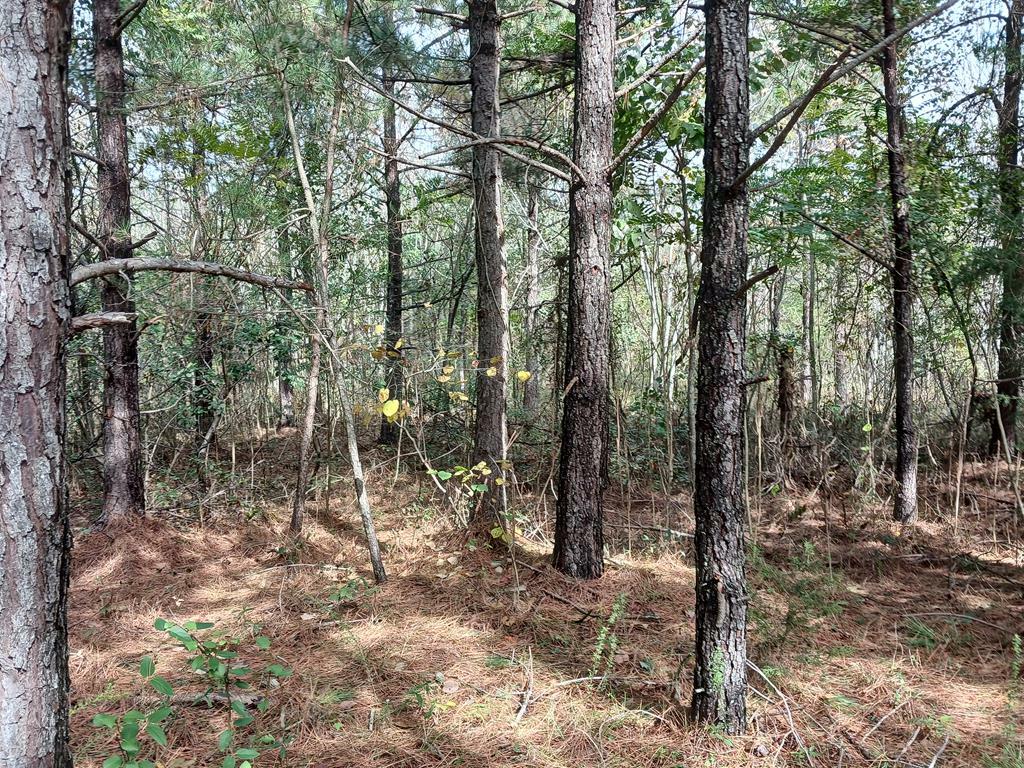 Property Photo:  Crab Orchard Rd.  VA 23947 