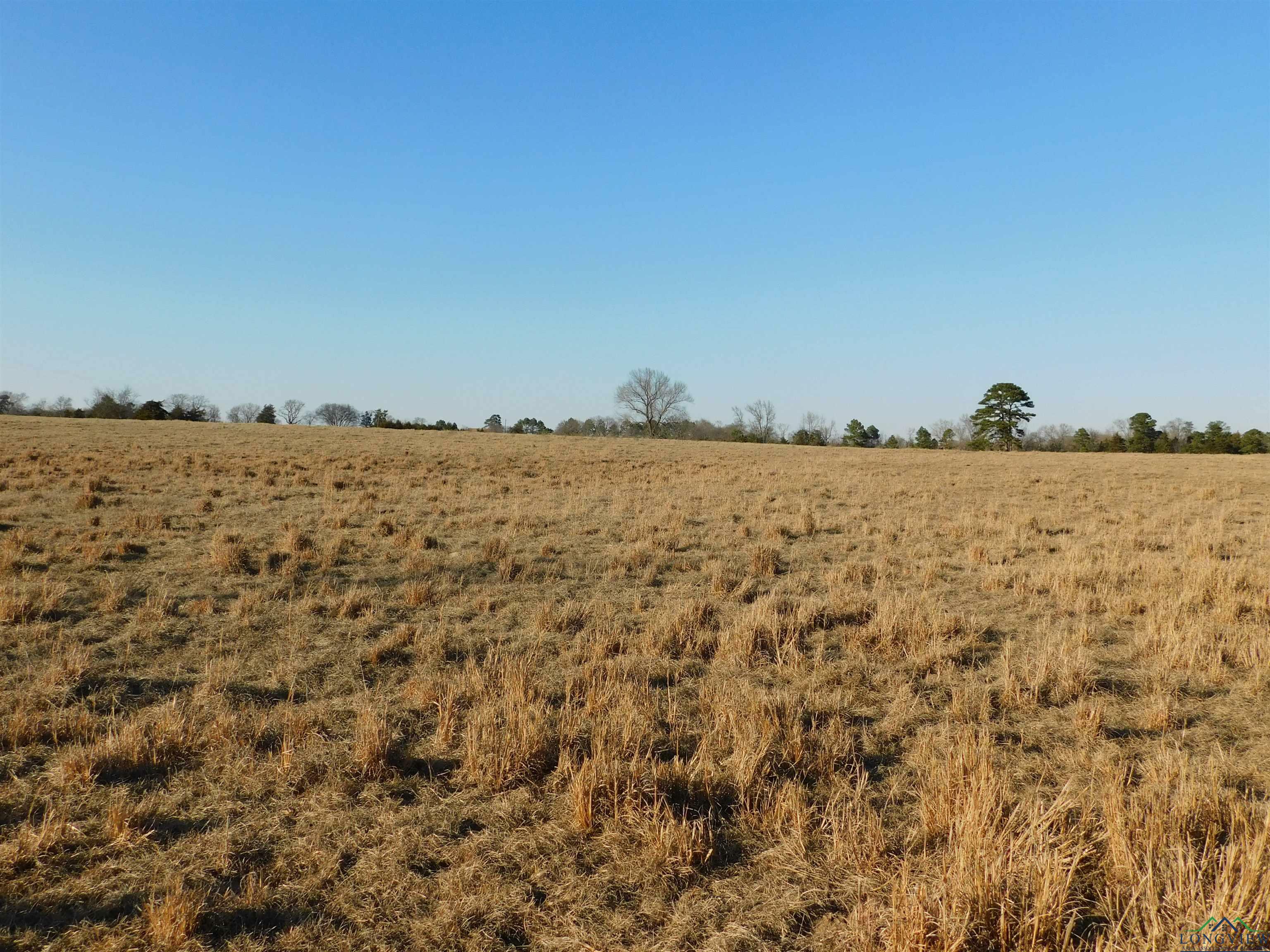 Property Photo:  Tbd Fm 1519  TX 75686 