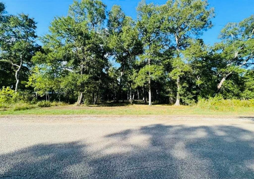Property Photo:  1070 Cr 165 Drive  TX 77420 