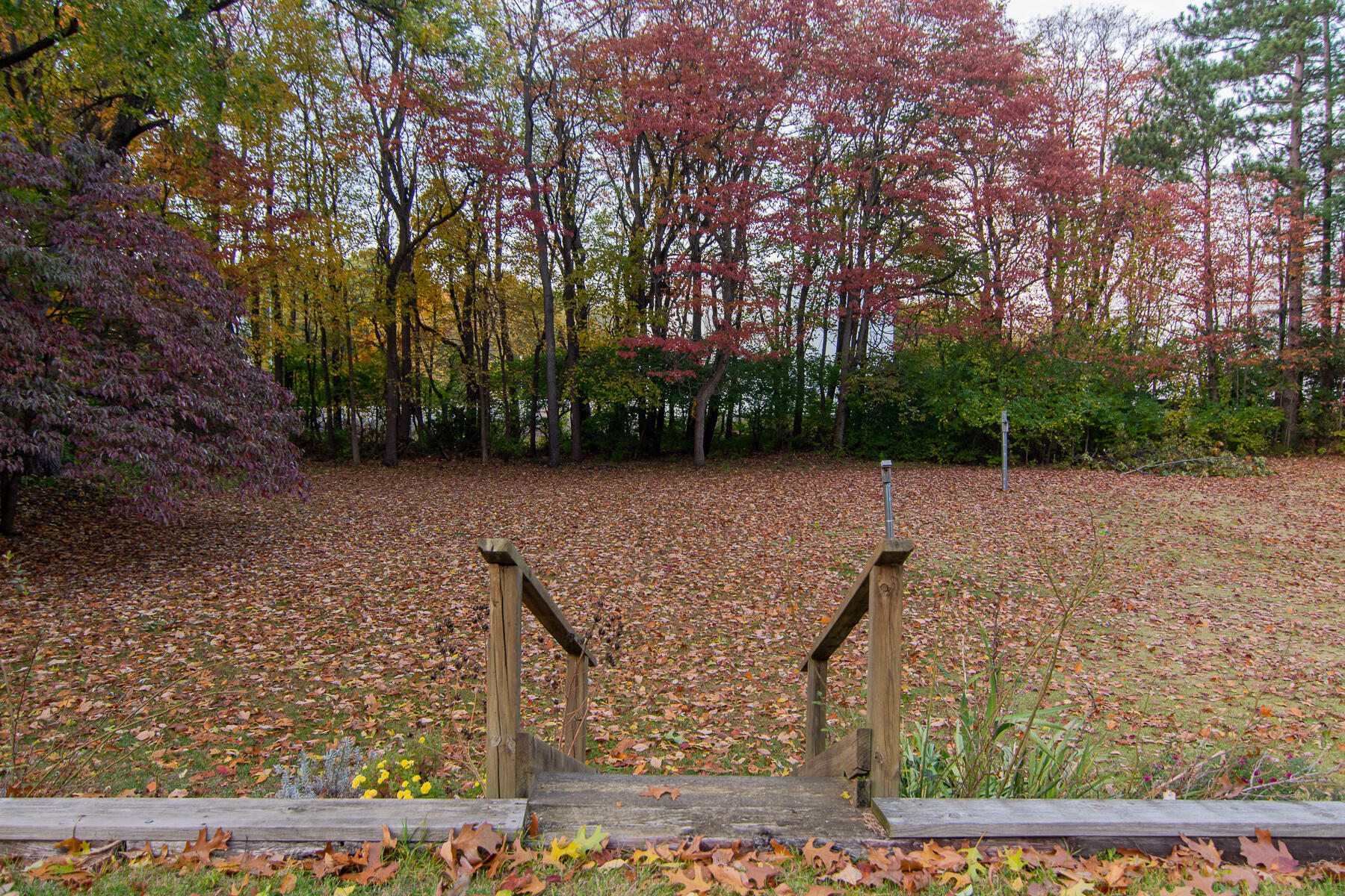 Property Photo:  229 Hartman Road  MI 49120 