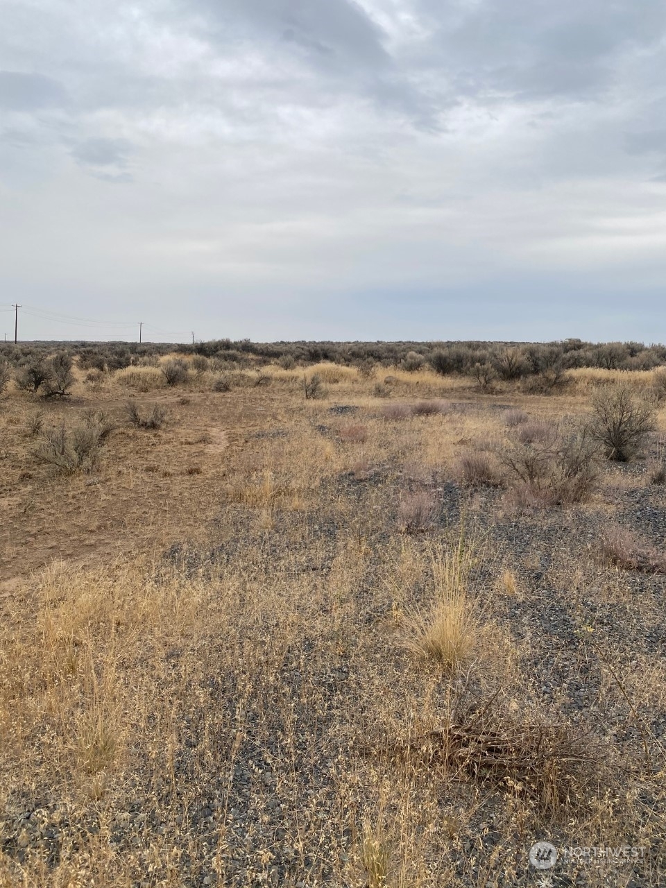 Property Photo:  4915 W Coyote Trail  WA 98823 