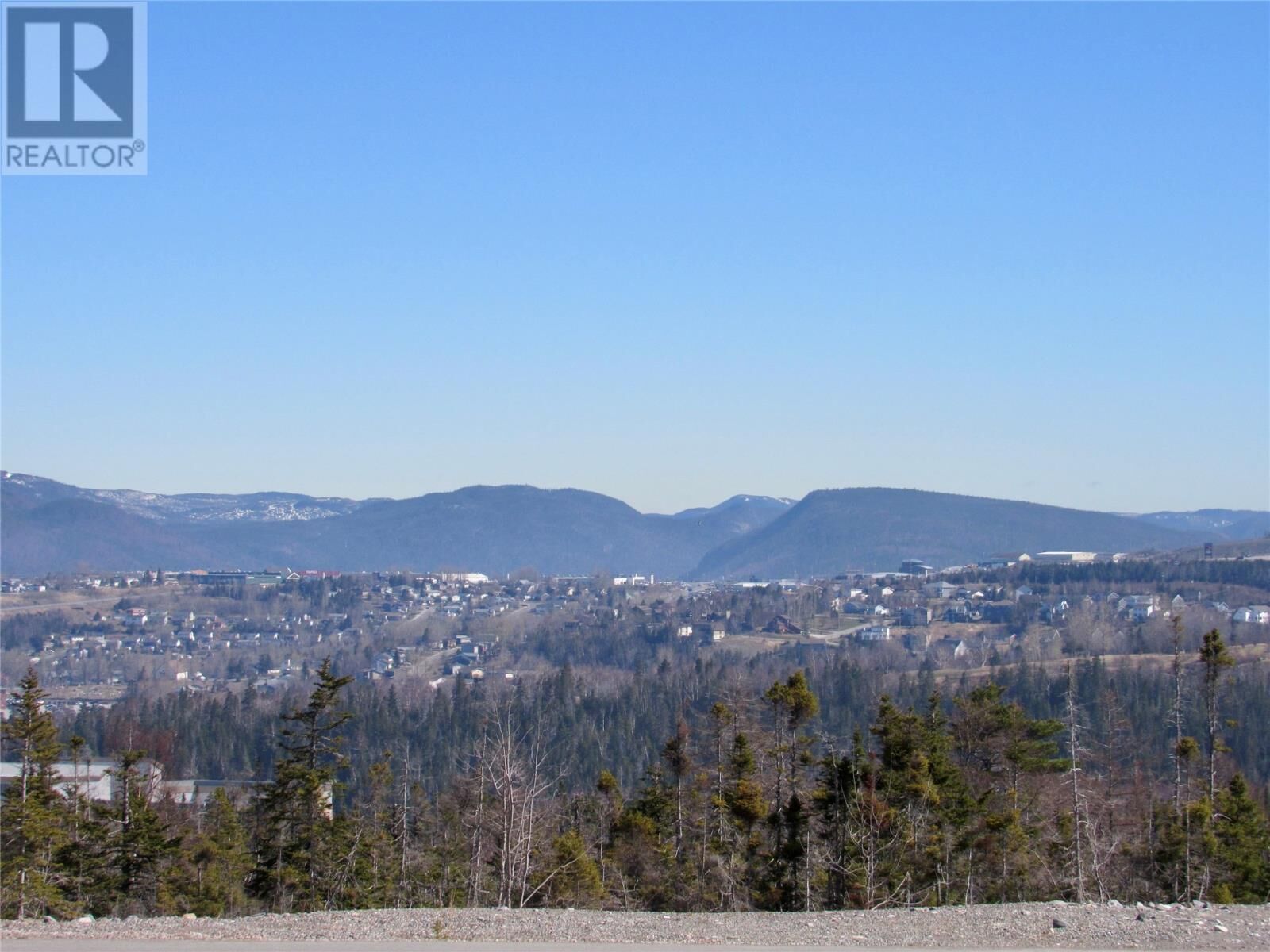 Property Photo:  59 Mattie Mitchell Avenue  NL A2H 0G3 