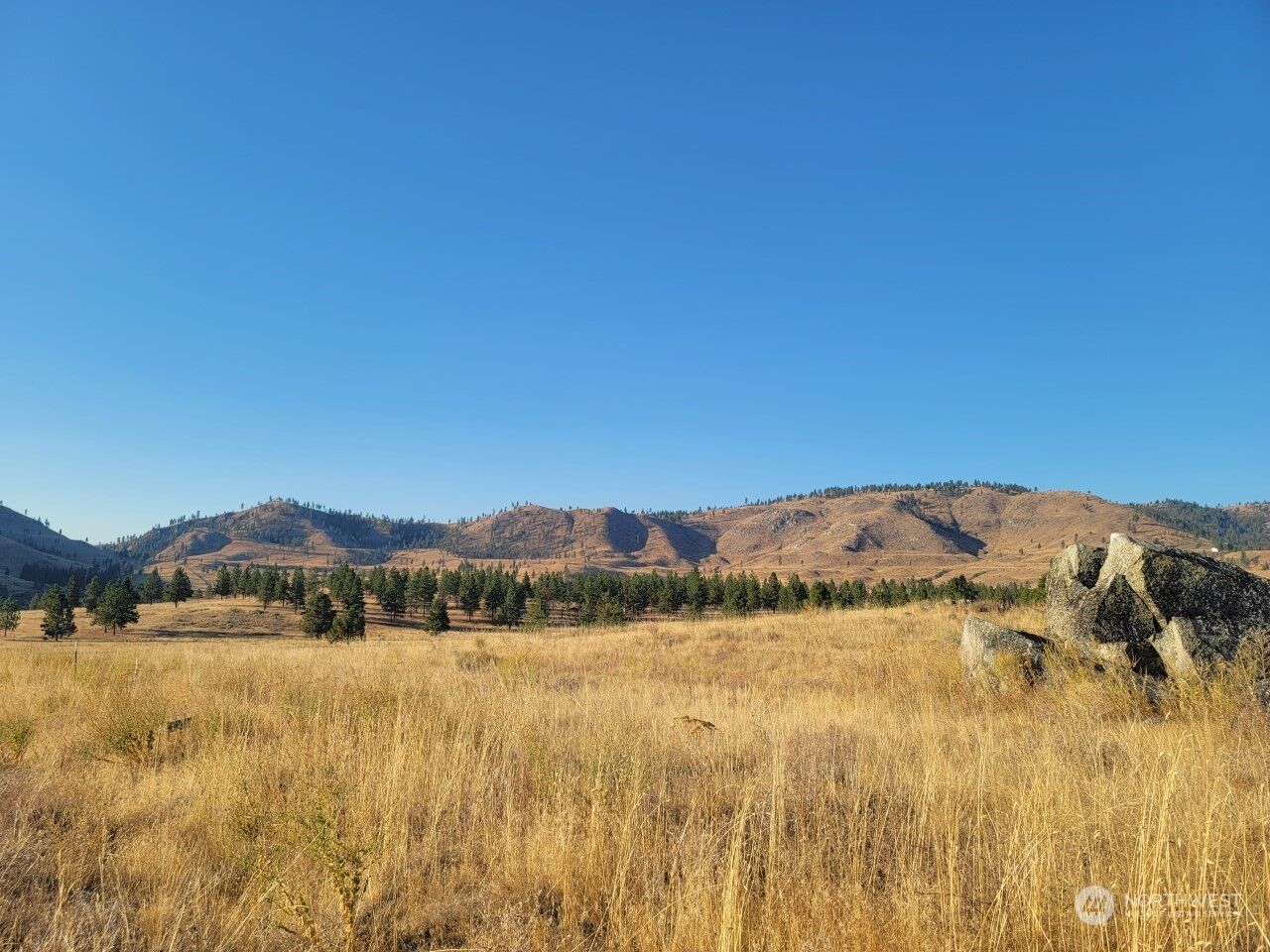 Property Photo: 0 Washington Creek Road WA 98816