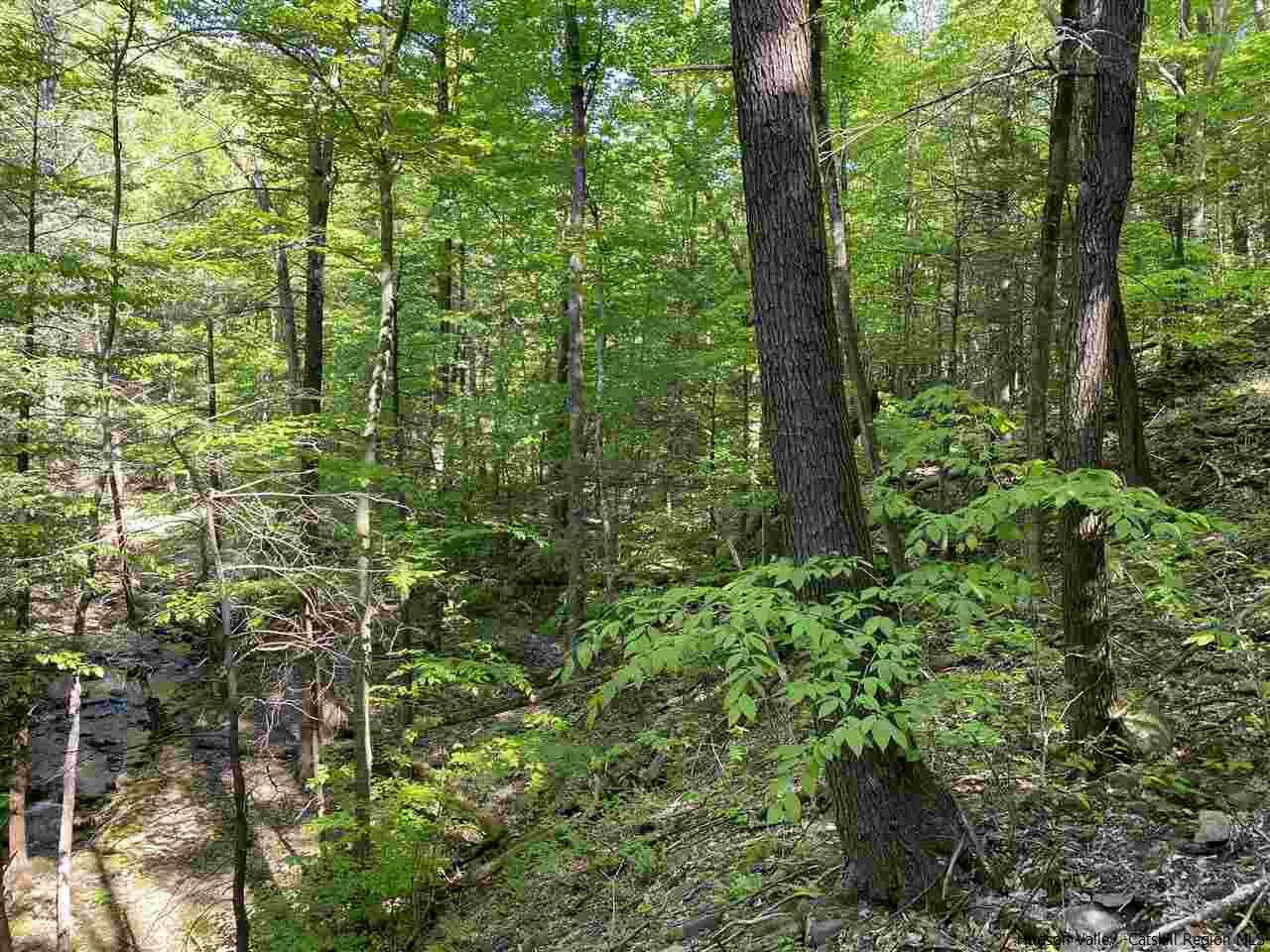 Property Photo:  92 Hillside  NY 12494 