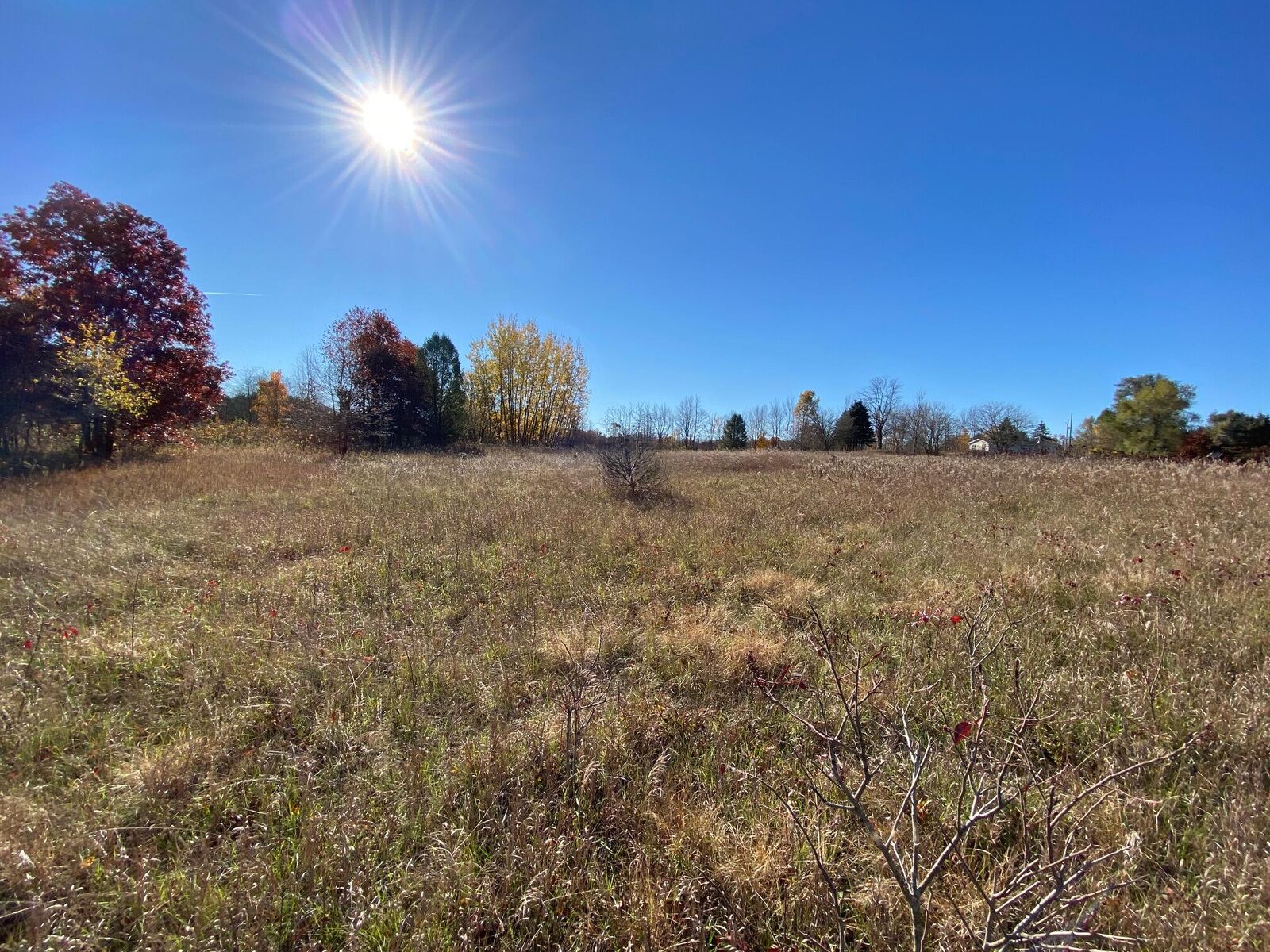 Property Photo:  Vl 102nd Avenue  MI 49056 