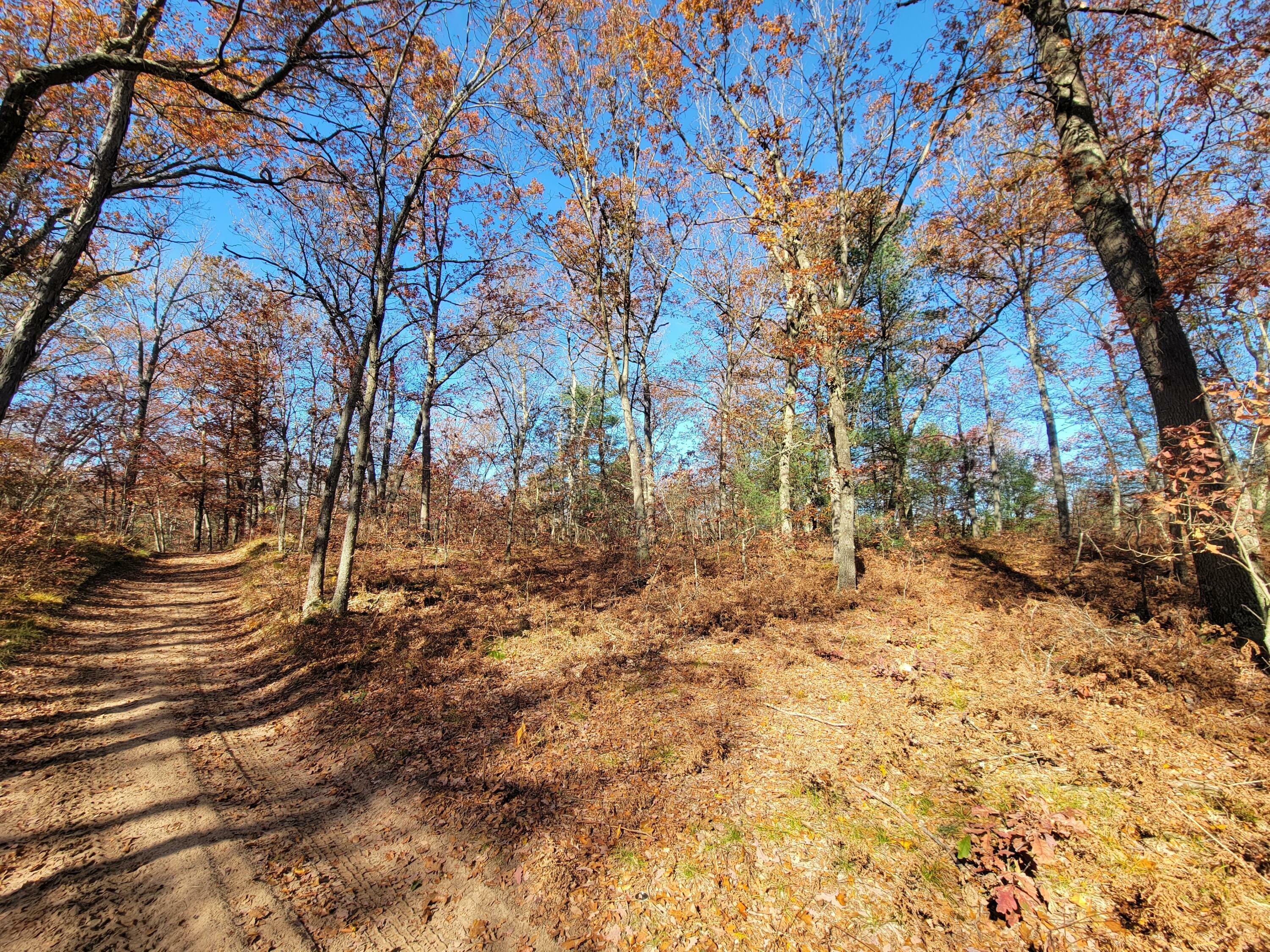 Property Photo:  0 Lakewood Undeveloped Road  MI 49457 