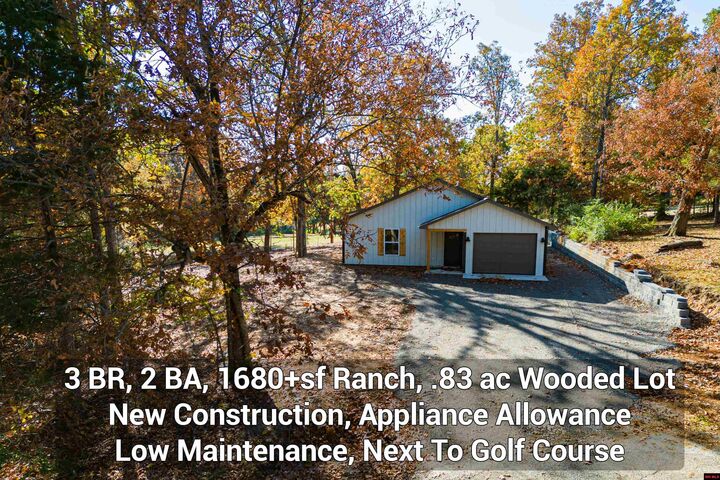 354 Garden Terrace  Mountain Home AR 72653 photo