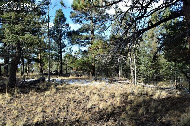 Property Photo: 56 La Abu Trail CO 80816