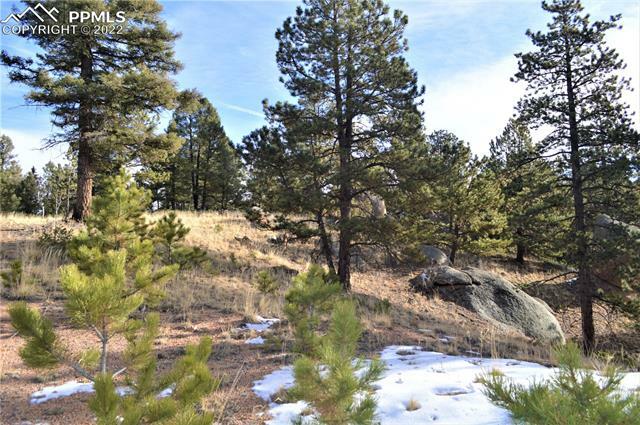 Property Photo: 78 La Abu Trail CO 80816