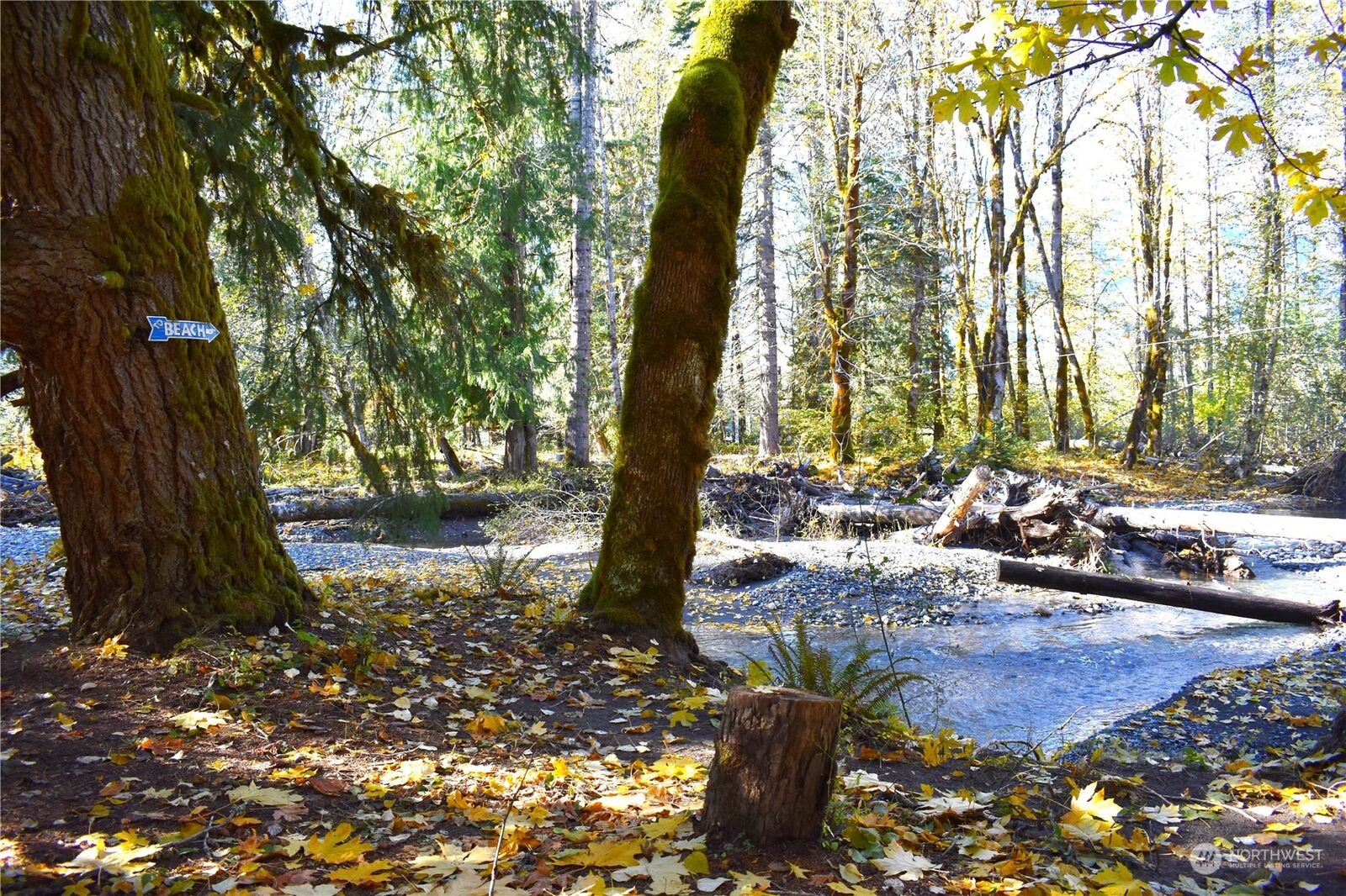 Property Photo:  159 Riverdance Lane  WA 98361 